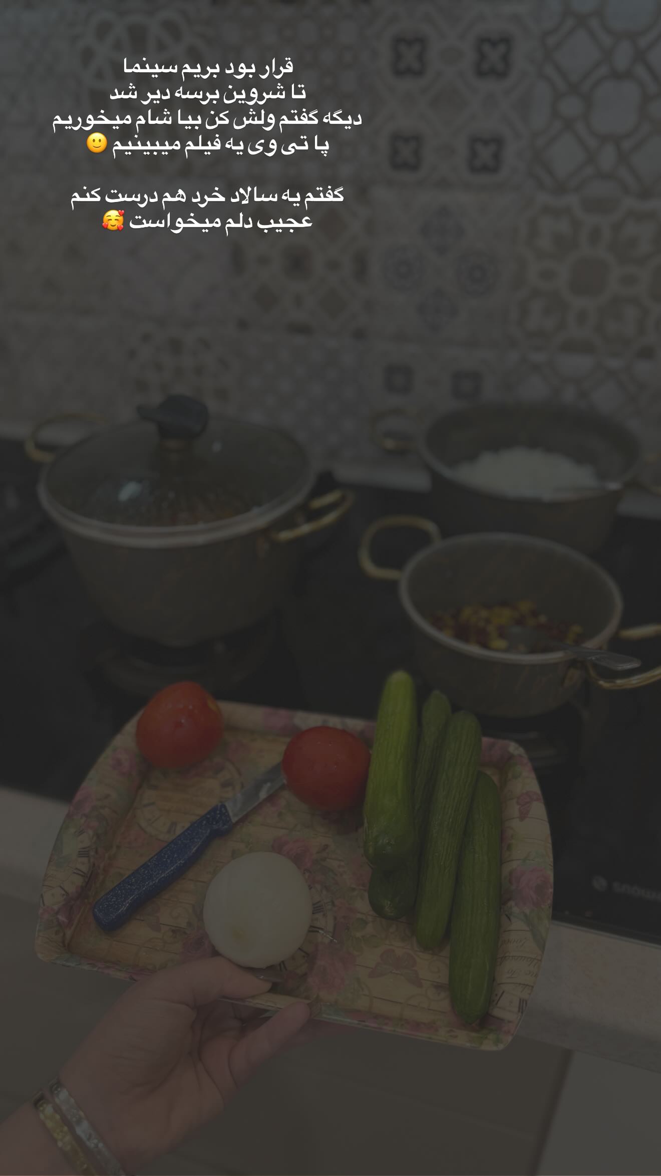  جدید ترین استوری اینستاگرام زهرا هرندی