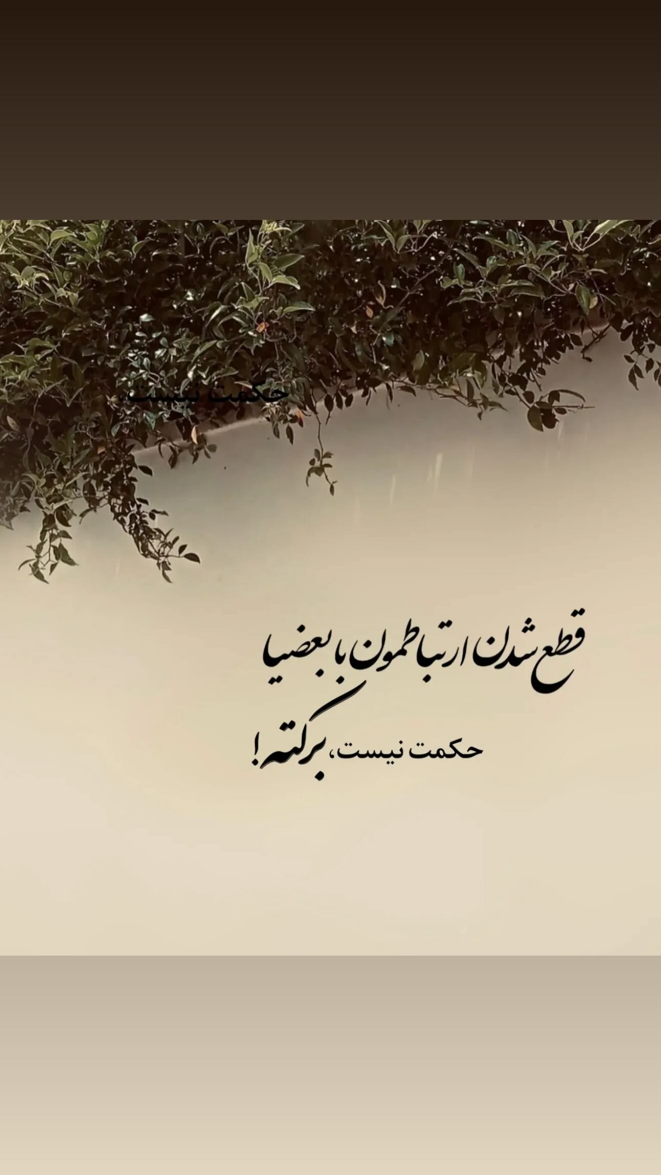  جدید ترین استوری اینستاگرام زهرا هرندی