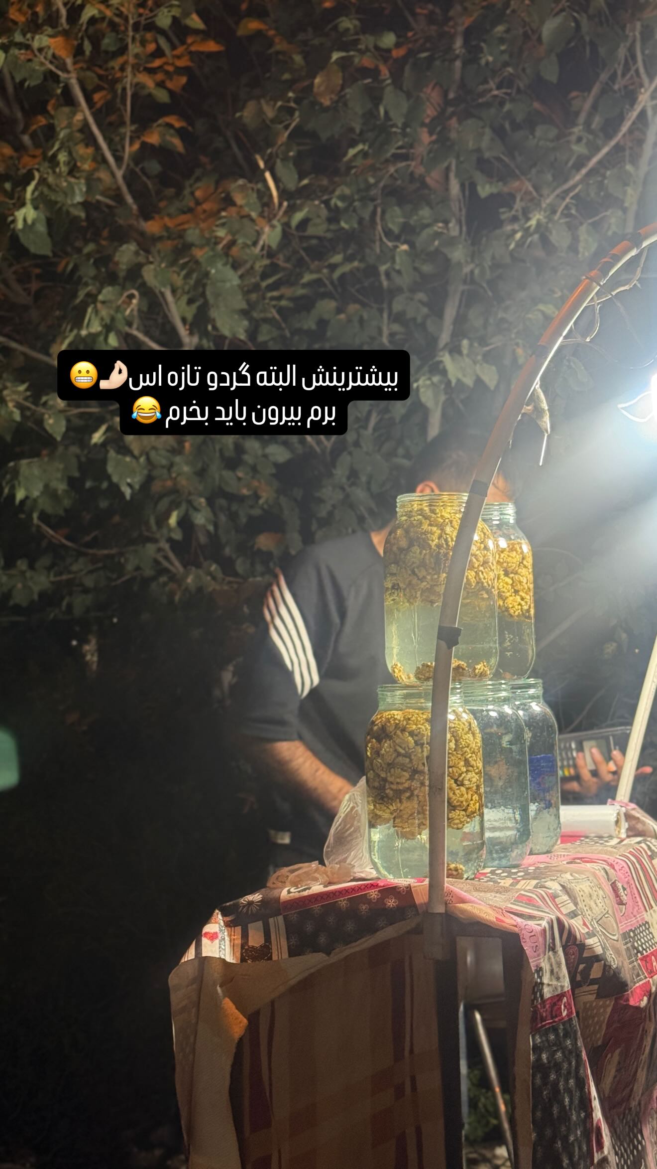  جدید ترین استوری اینستاگرام زهرا هرندی