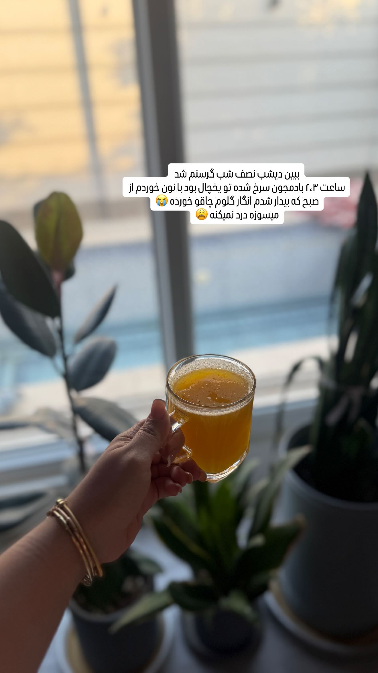  جدید ترین استوری اینستاگرام زهرا هرندی