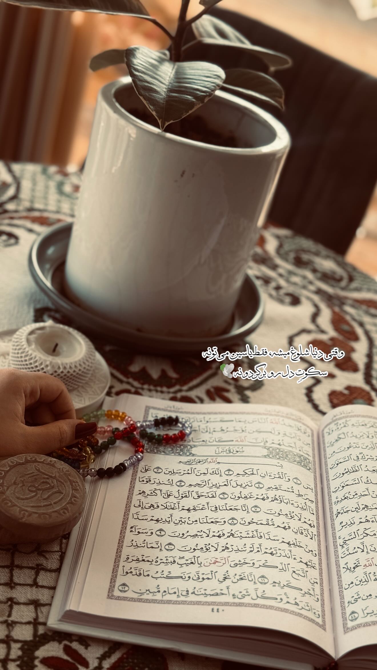  جدید ترین استوری اینستاگرام زهرا هرندی