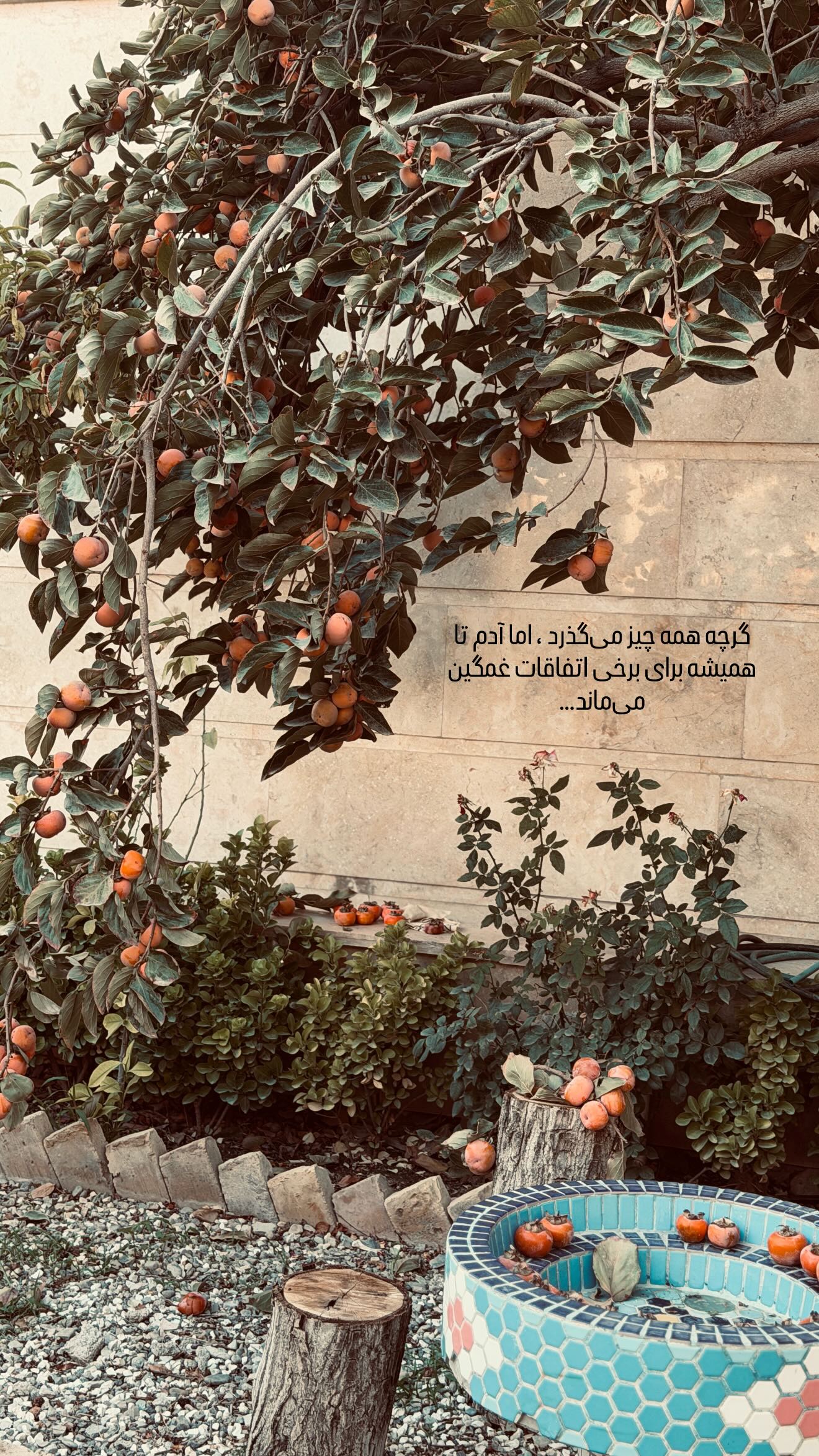  جدید ترین استوری اینستاگرام زهرا هرندی