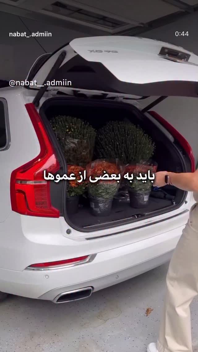  جدید ترین استوری اینستاگرام زهرا هرندی