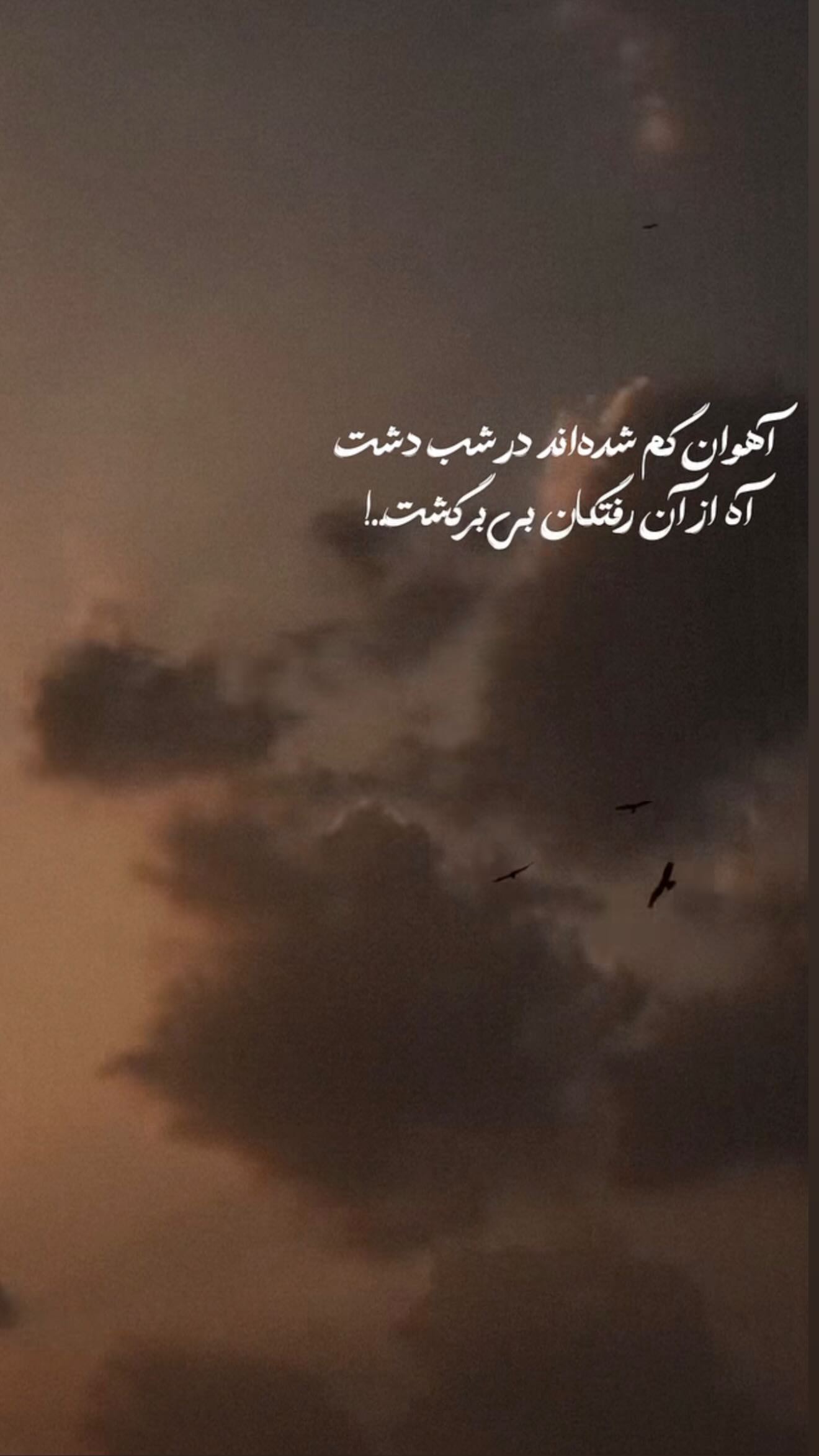  جدید ترین استوری اینستاگرام زهرا هرندی