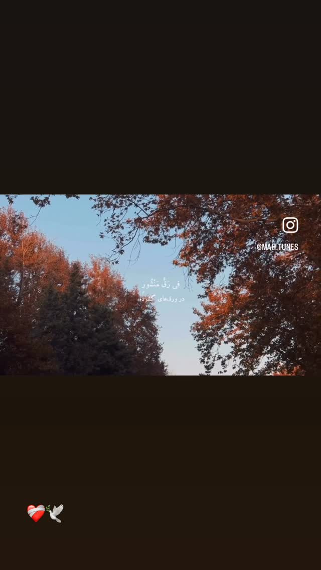  جدید ترین استوری اینستاگرام زهرا هرندی