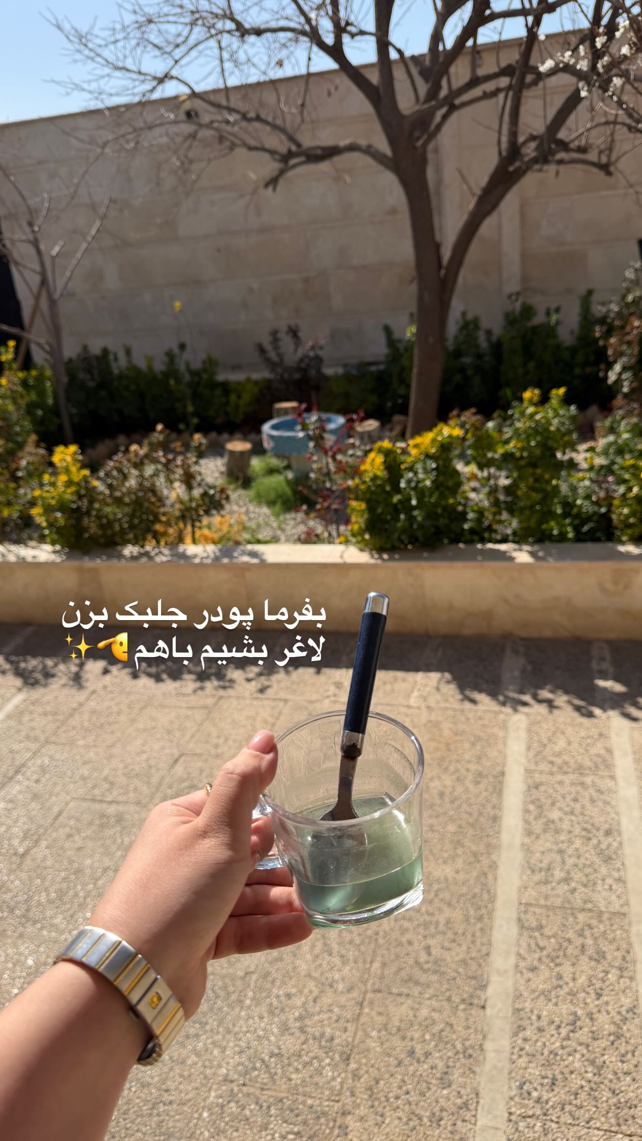  جدید ترین استوری اینستاگرام زهرا هرندی