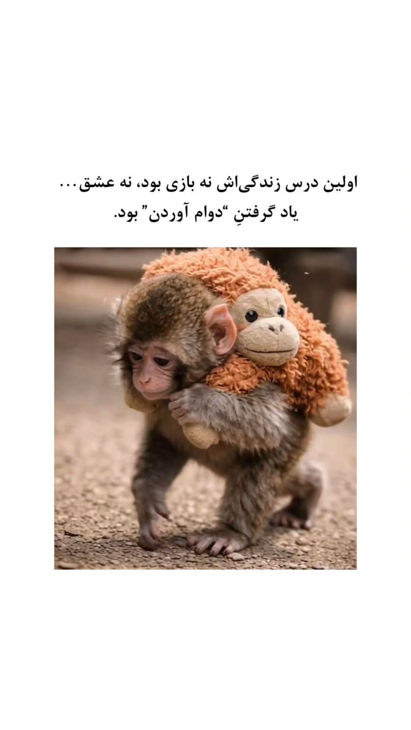  جدید ترین استوری اینستاگرام زهرا هرندی