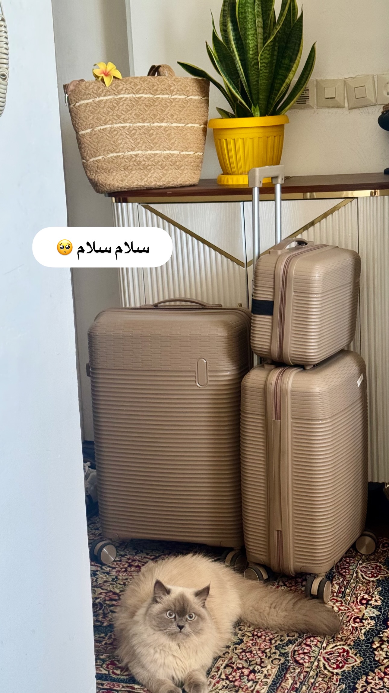  جدید ترین استوری اینستاگرام زهرا موسوی