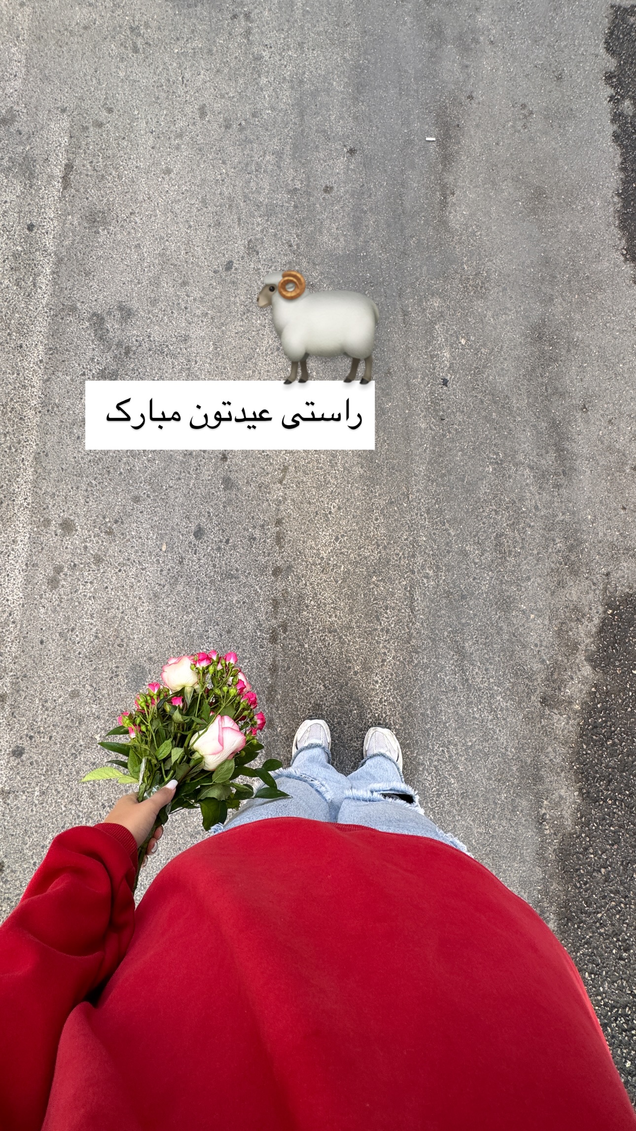  جدید ترین استوری اینستاگرام زهرا موسوی