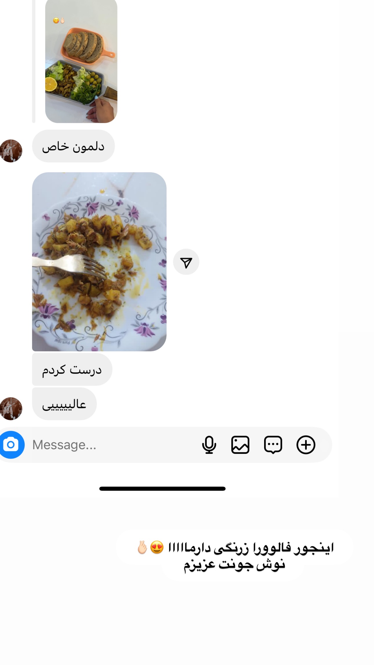  جدید ترین استوری اینستاگرام زهرا موسوی