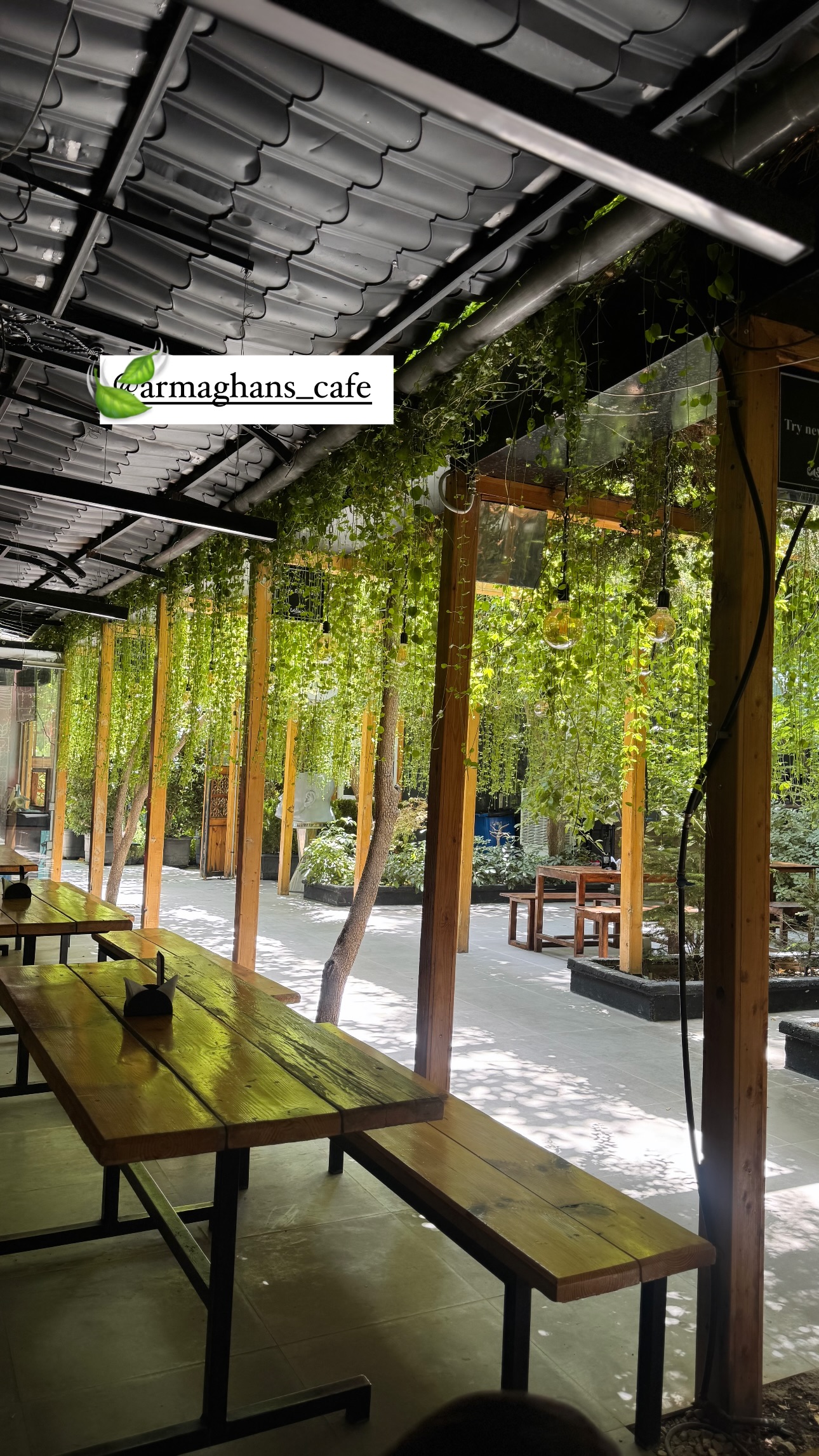  جدید ترین استوری اینستاگرام زهرا موسوی