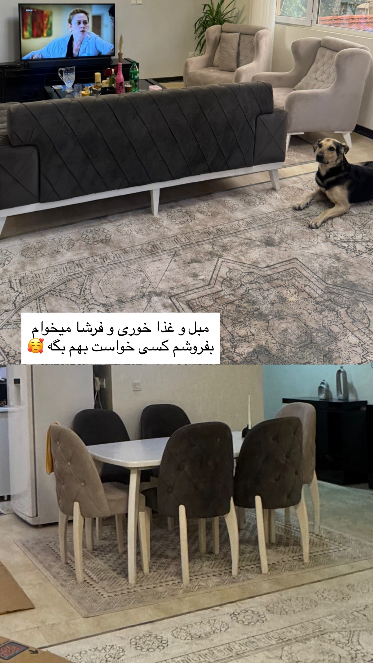  جدید ترین استوری اینستاگرام زهرا موسوی