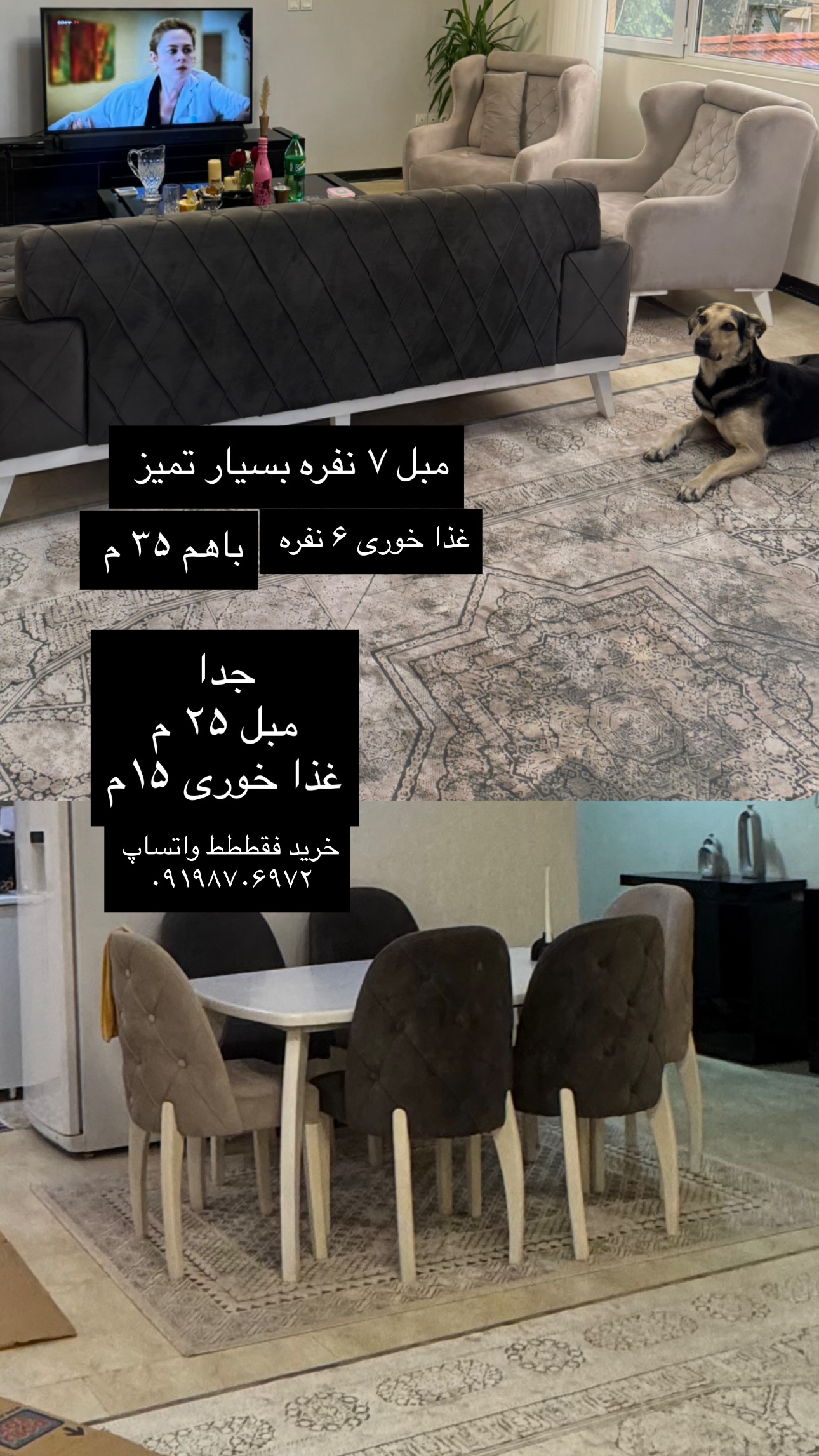  جدید ترین استوری اینستاگرام زهرا موسوی