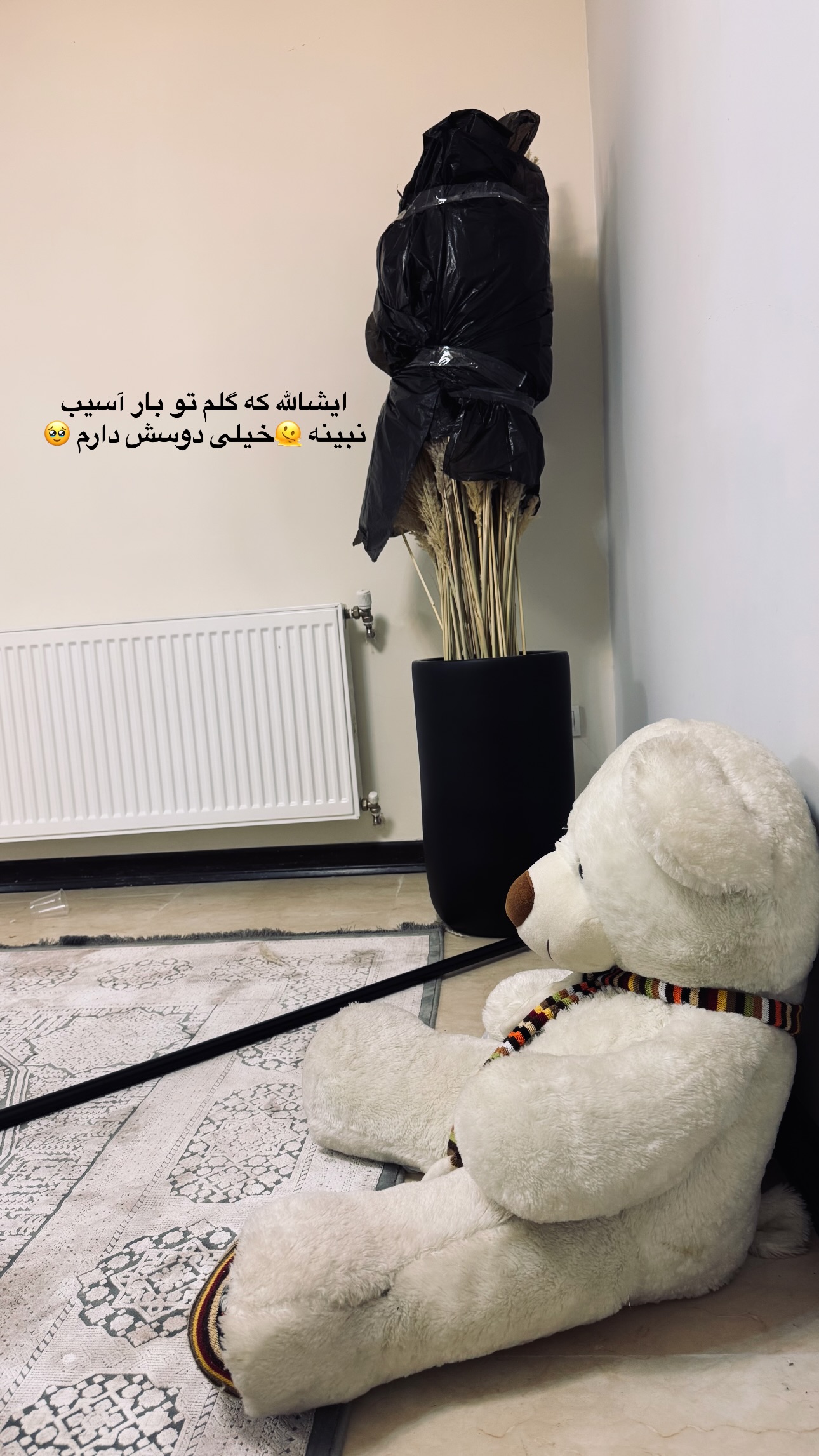  جدید ترین استوری اینستاگرام زهرا موسوی