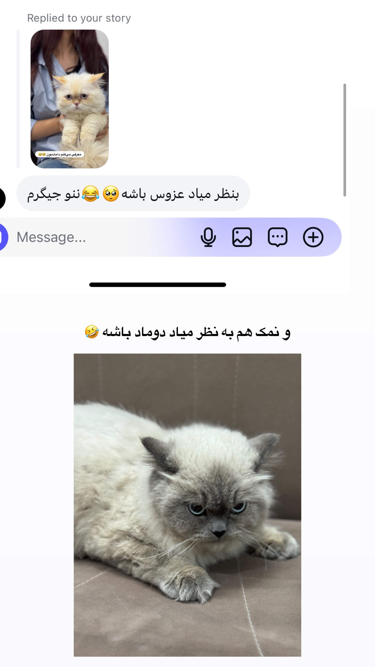  جدید ترین استوری اینستاگرام زهرا موسوی