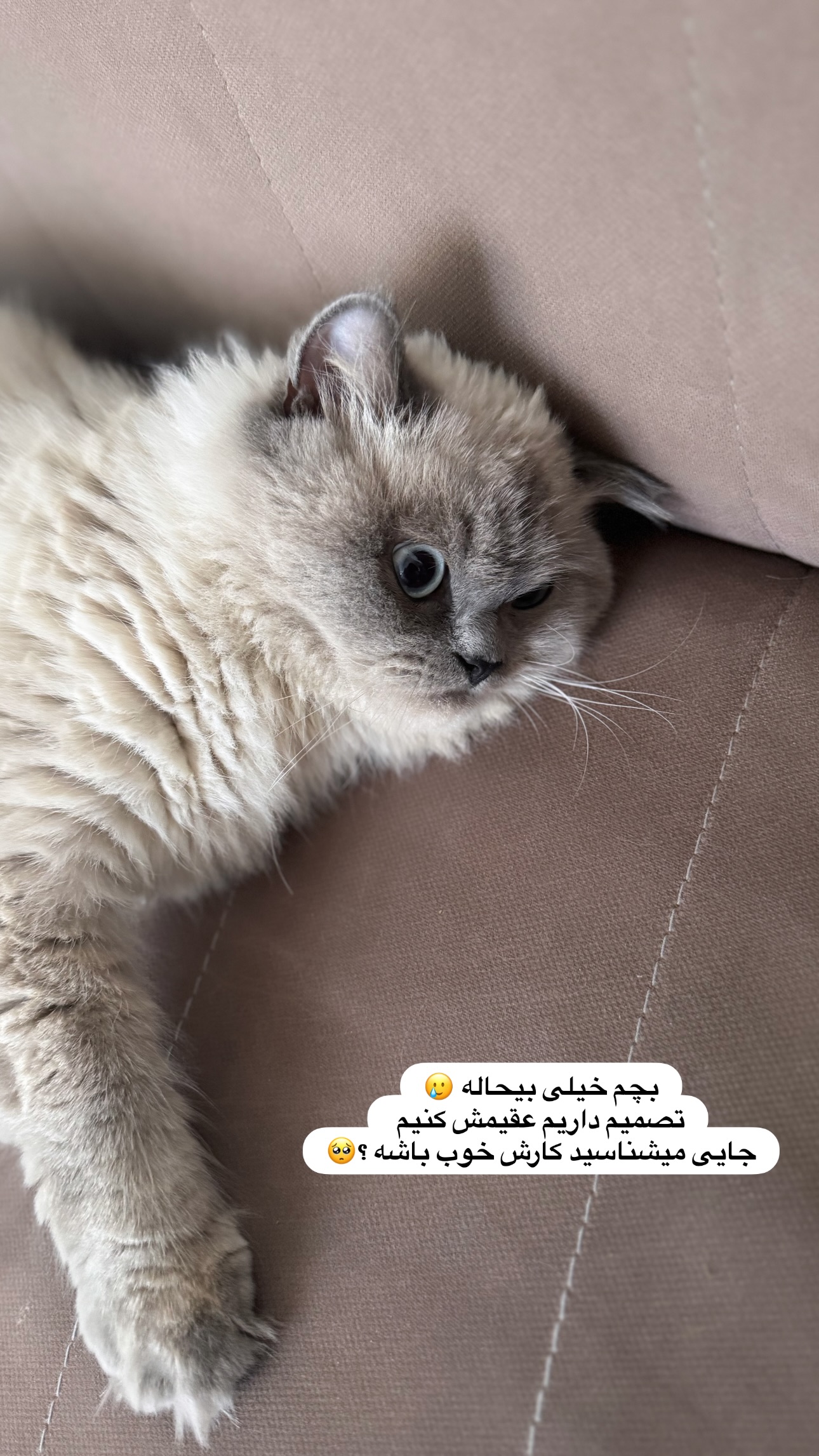  جدید ترین استوری اینستاگرام زهرا موسوی
