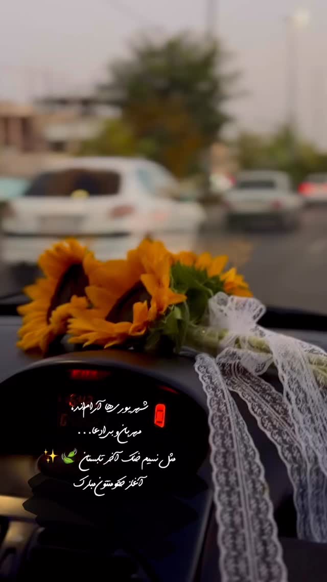  جدید ترین استوری اینستاگرام زهرا موسوی