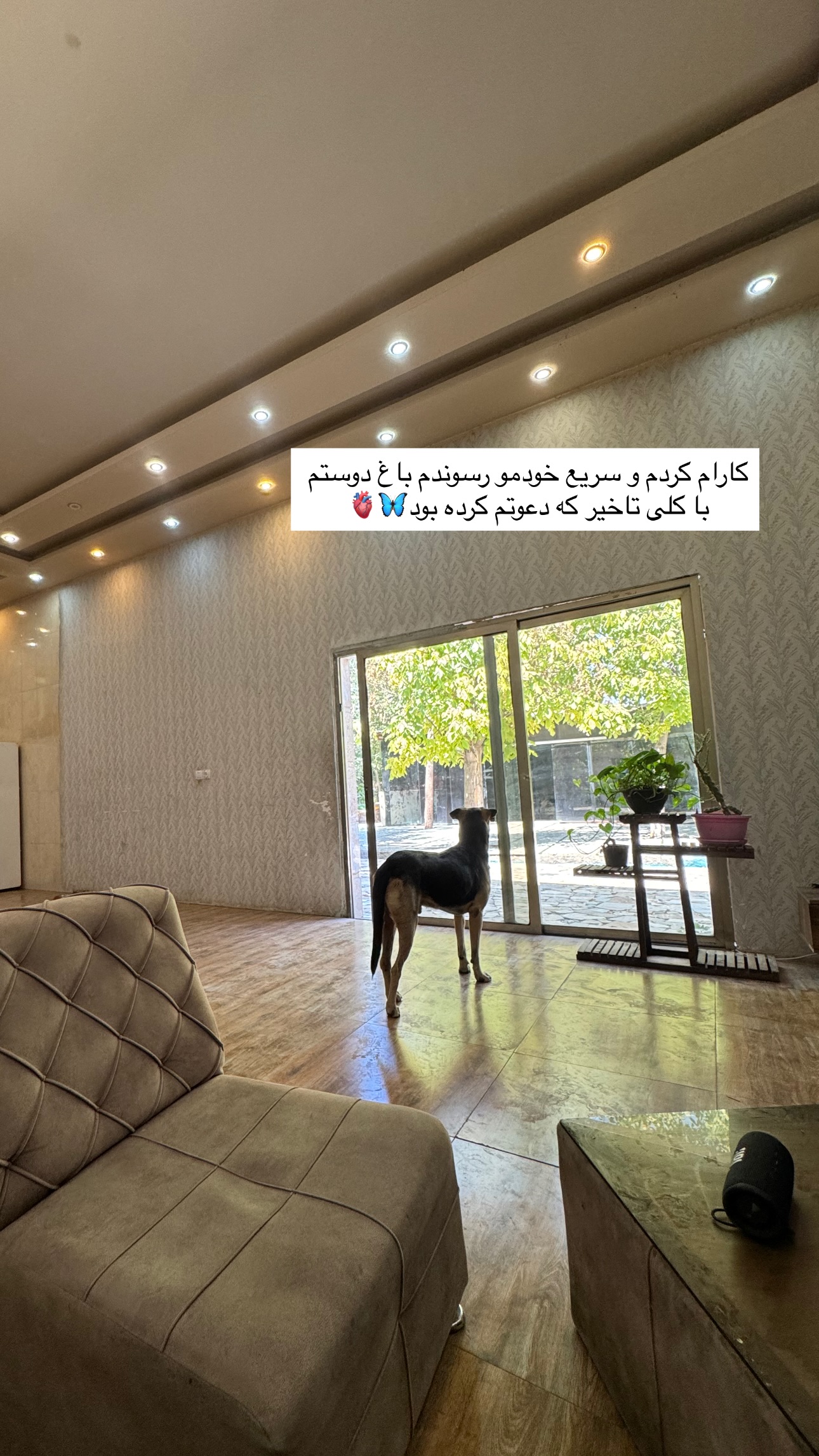  جدید ترین استوری اینستاگرام زهرا موسوی
