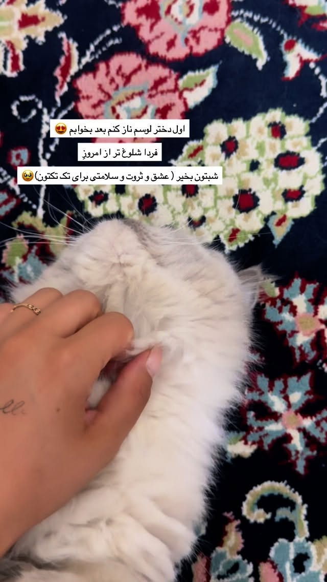  جدید ترین استوری اینستاگرام زهرا موسوی
