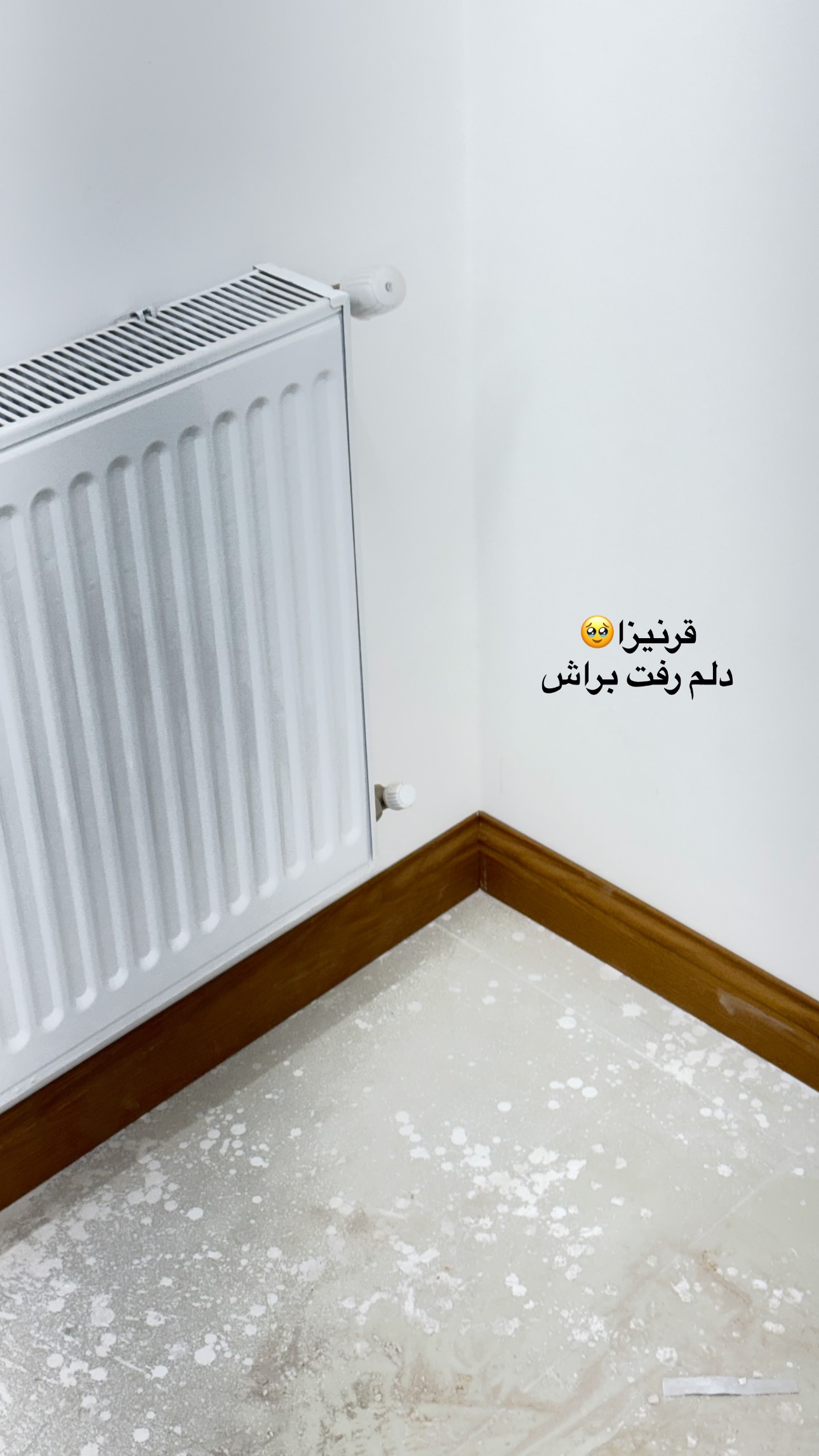  جدید ترین استوری اینستاگرام زهرا موسوی