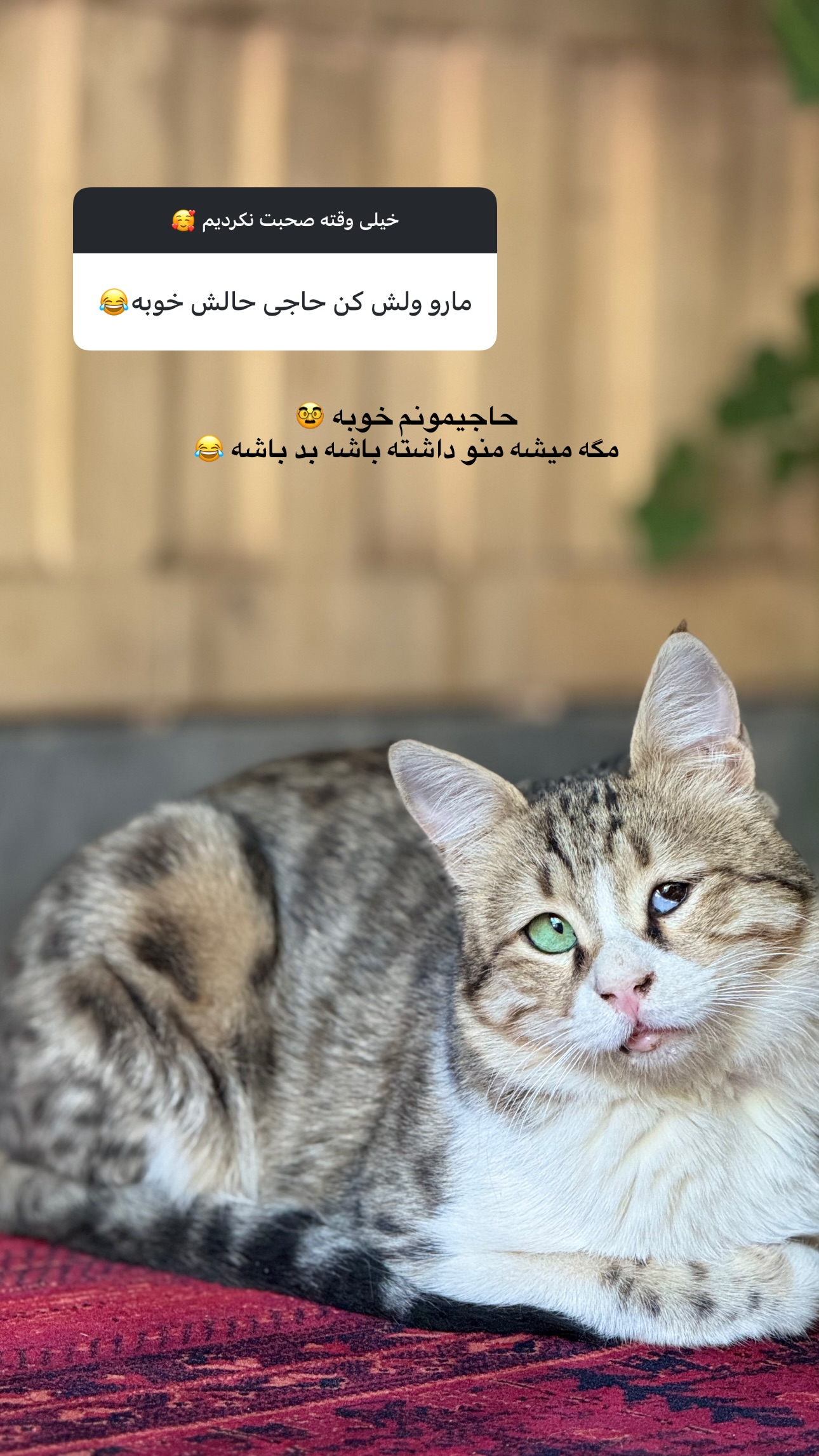  جدید ترین استوری اینستاگرام زهرا موسوی
