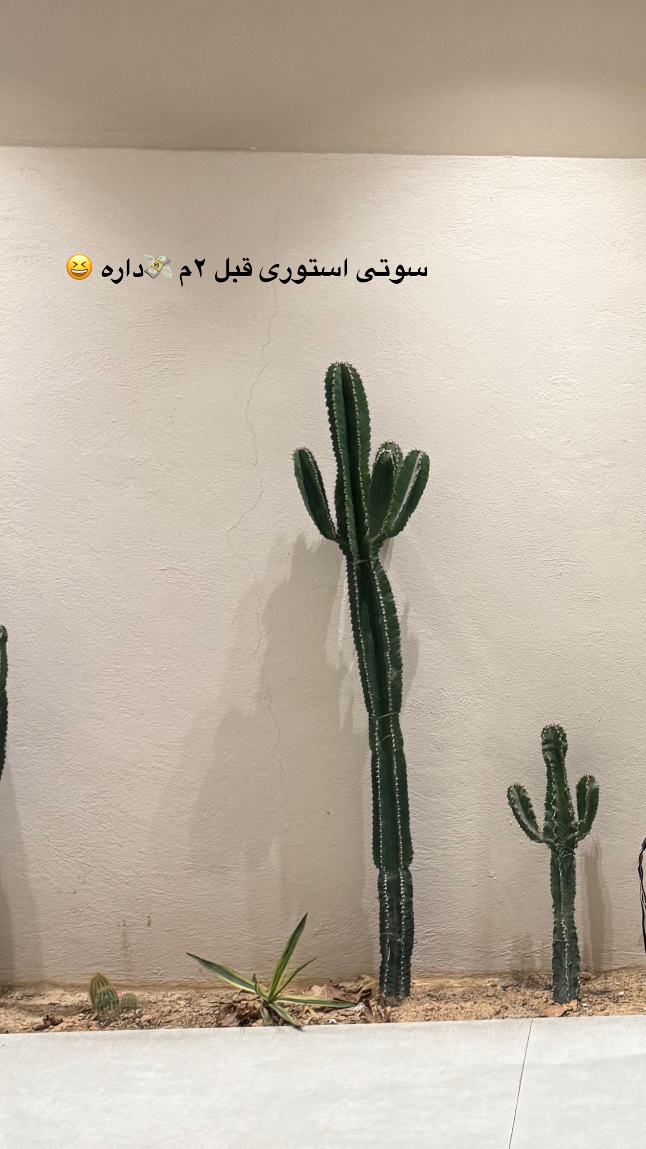  جدید ترین استوری اینستاگرام زهرا موسوی