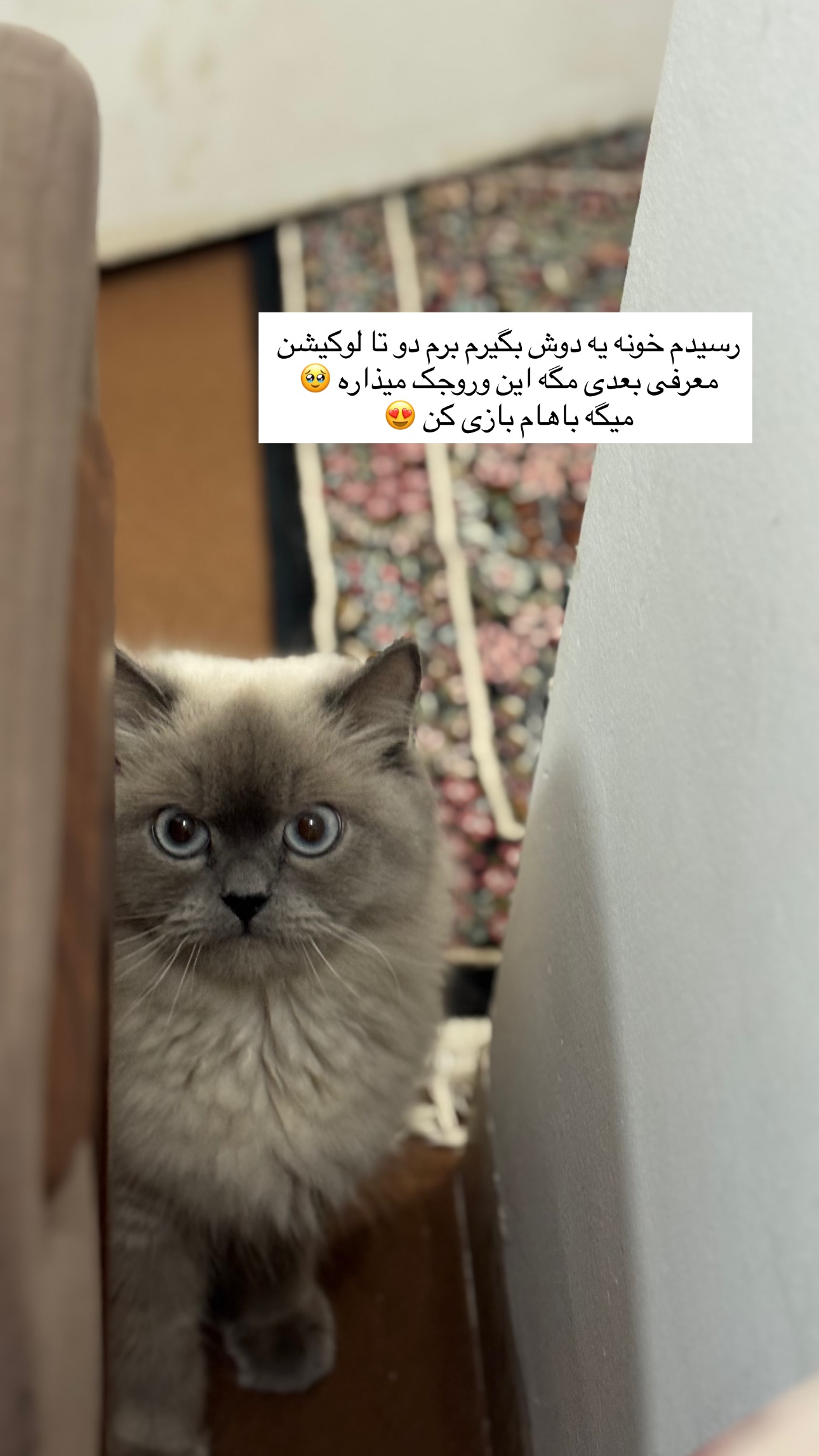  جدید ترین استوری اینستاگرام زهرا موسوی