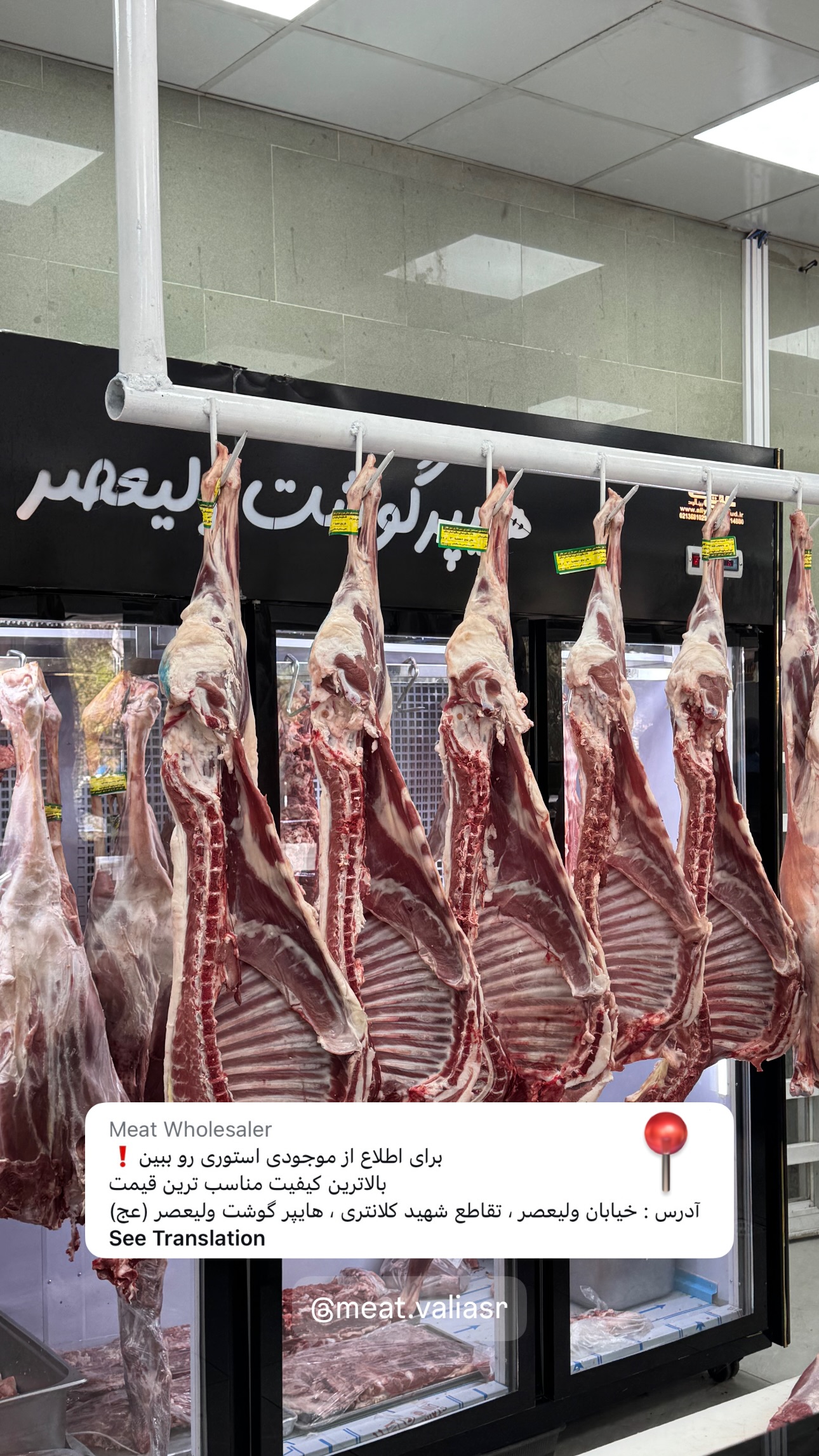  جدید ترین استوری اینستاگرام زهرا موسوی