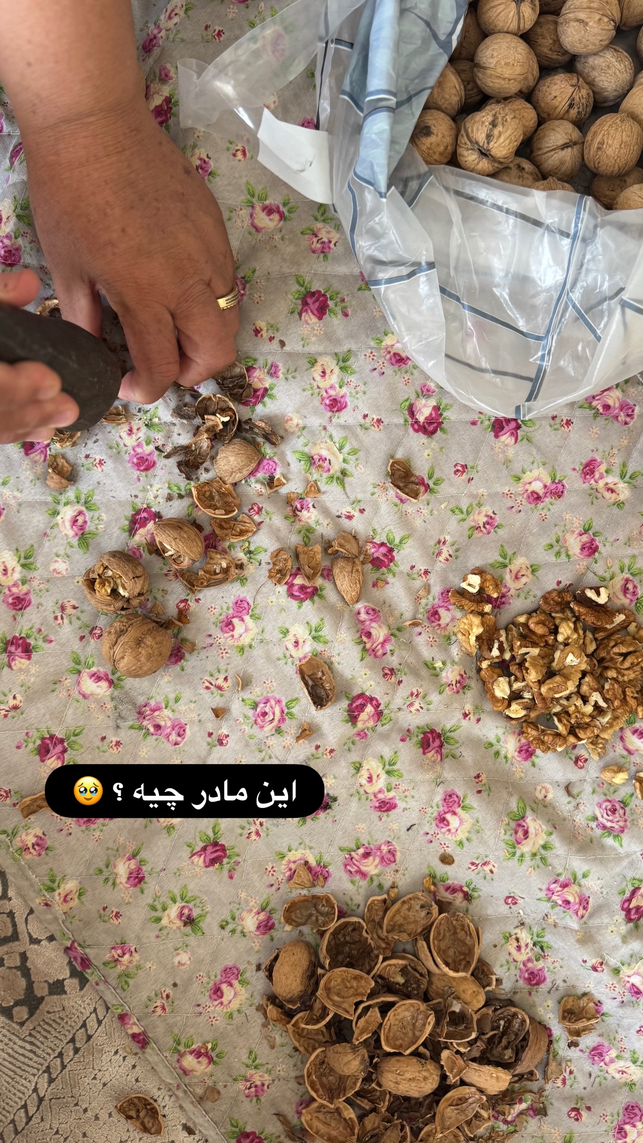  جدید ترین استوری اینستاگرام زهرا موسوی
