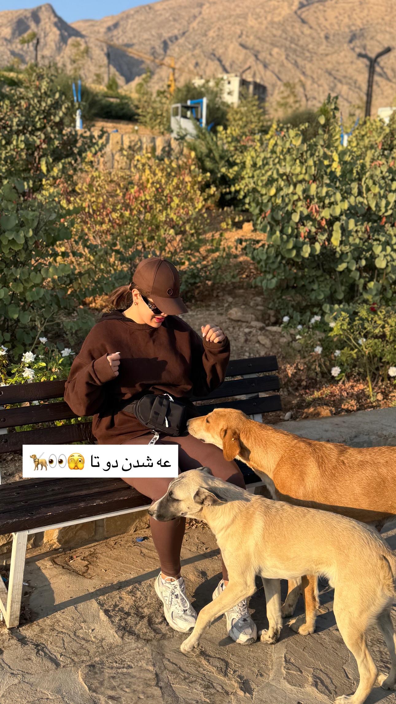  جدید ترین استوری اینستاگرام زهرا موسوی