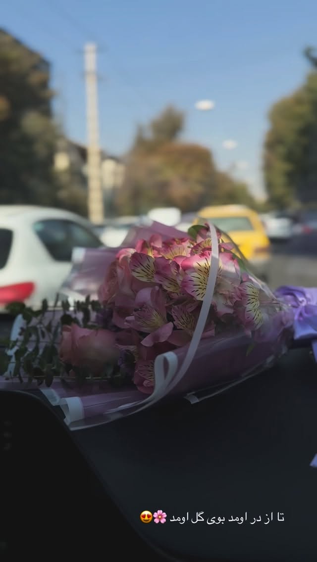  جدید ترین استوری اینستاگرام زهرا موسوی