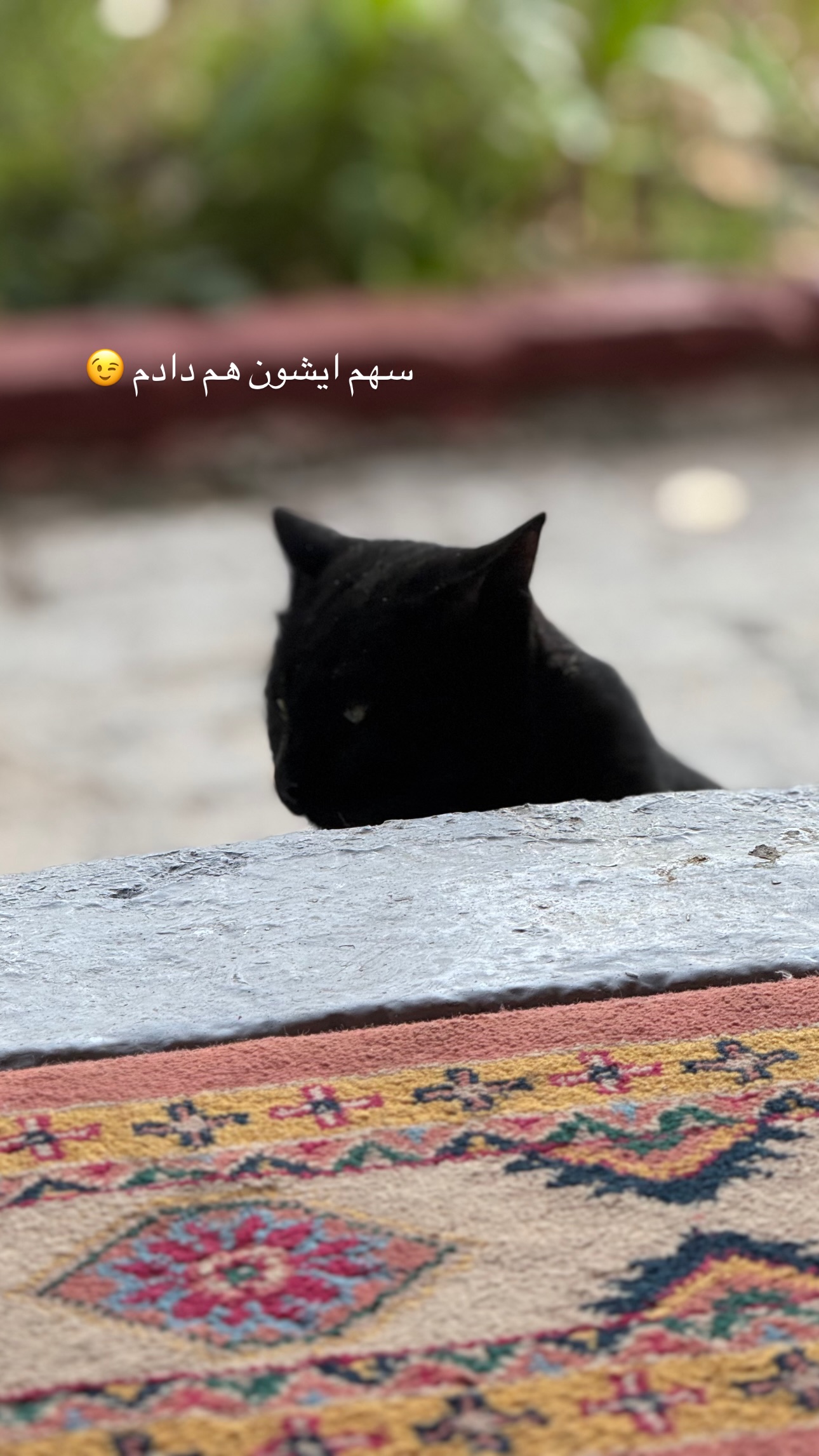  جدید ترین استوری اینستاگرام زهرا موسوی
