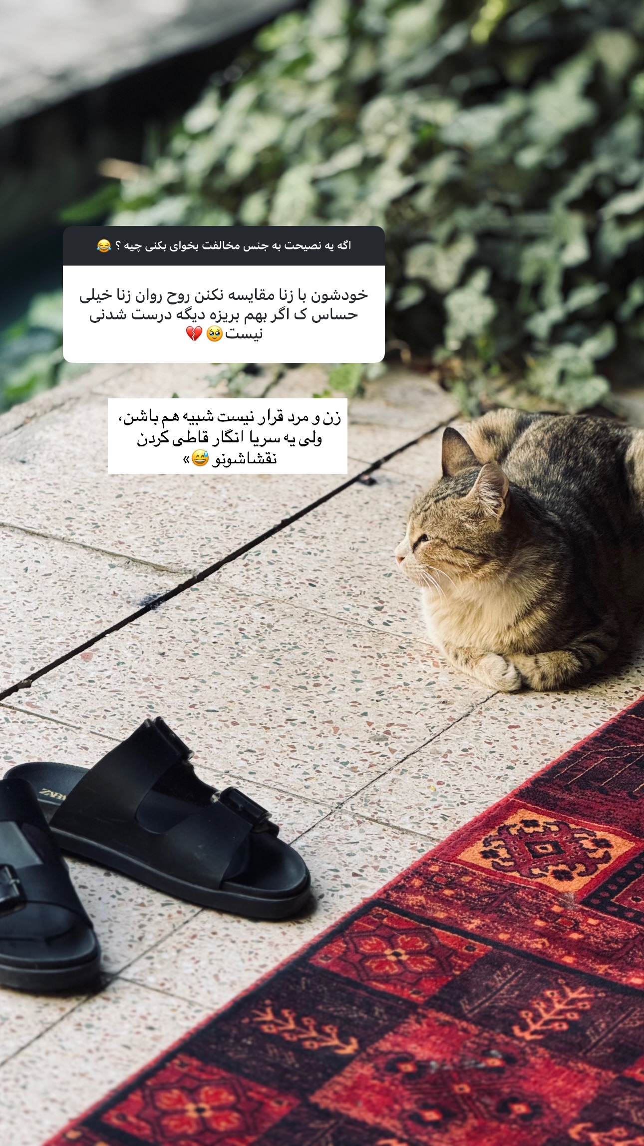  جدید ترین استوری اینستاگرام زهرا موسوی
