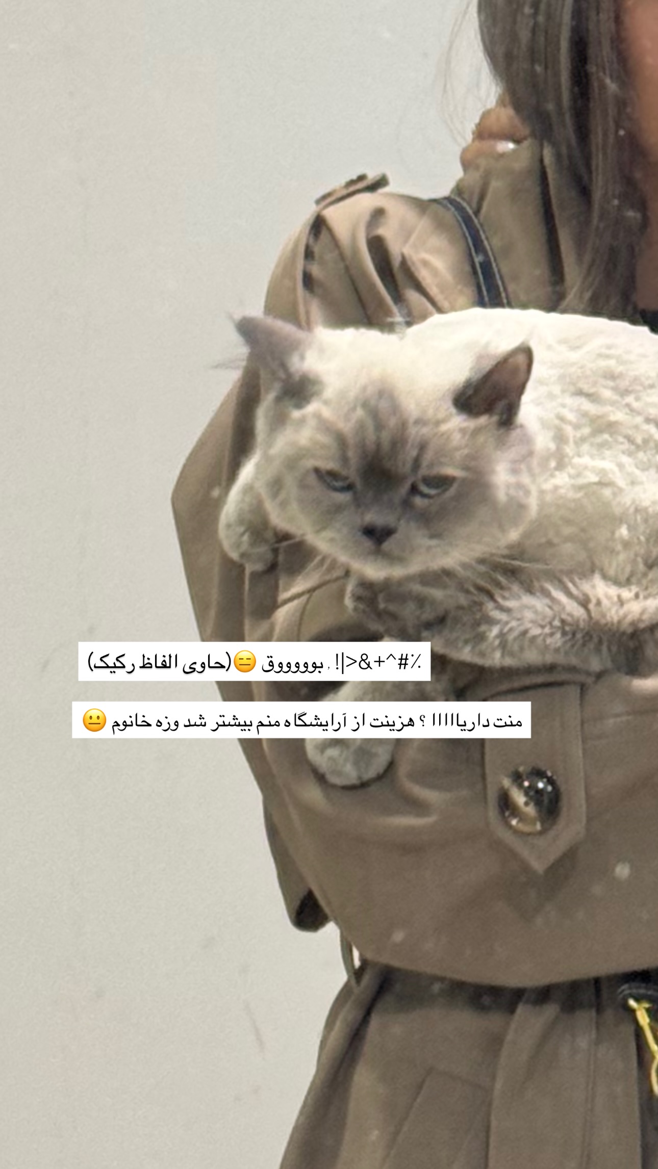  جدید ترین استوری اینستاگرام زهرا موسوی