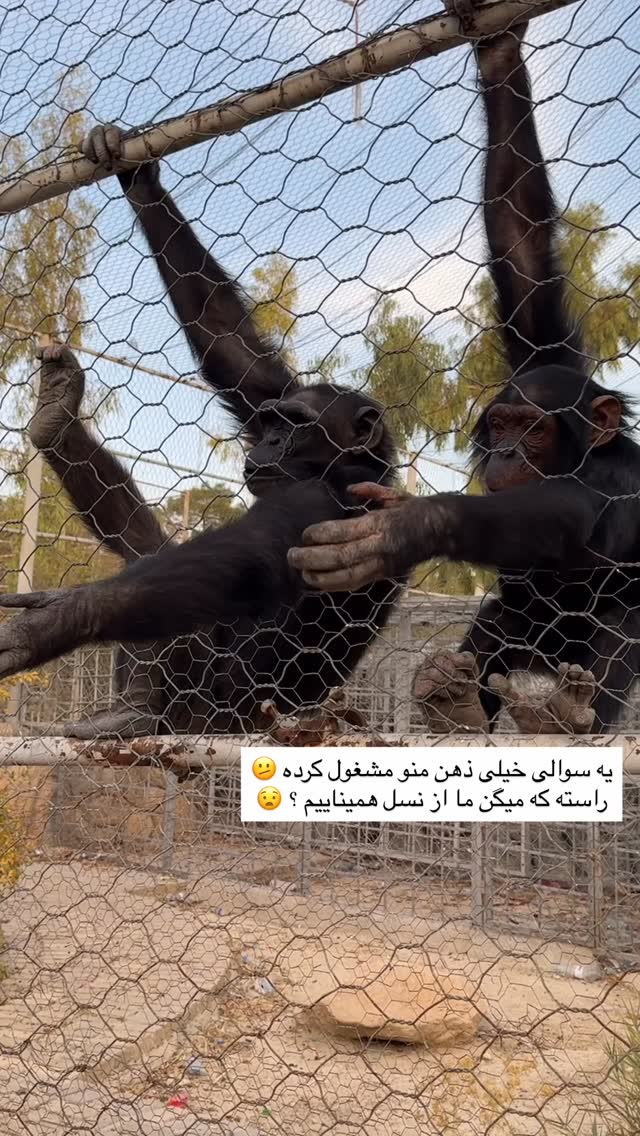  جدید ترین استوری اینستاگرام زهرا موسوی