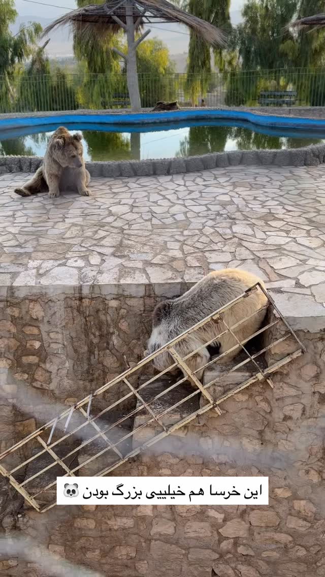  جدید ترین استوری اینستاگرام زهرا موسوی