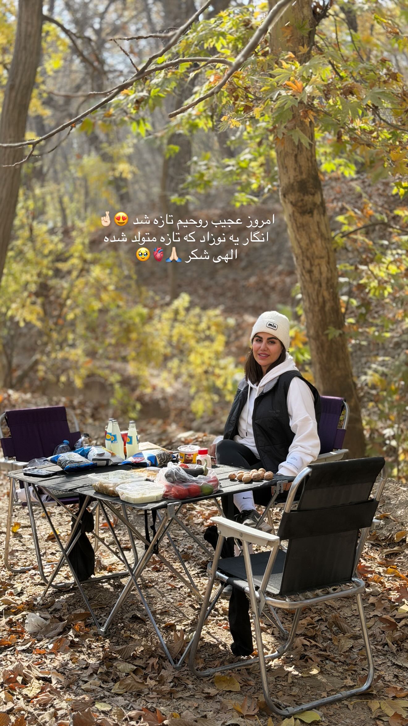  جدید ترین استوری اینستاگرام زهرا موسوی