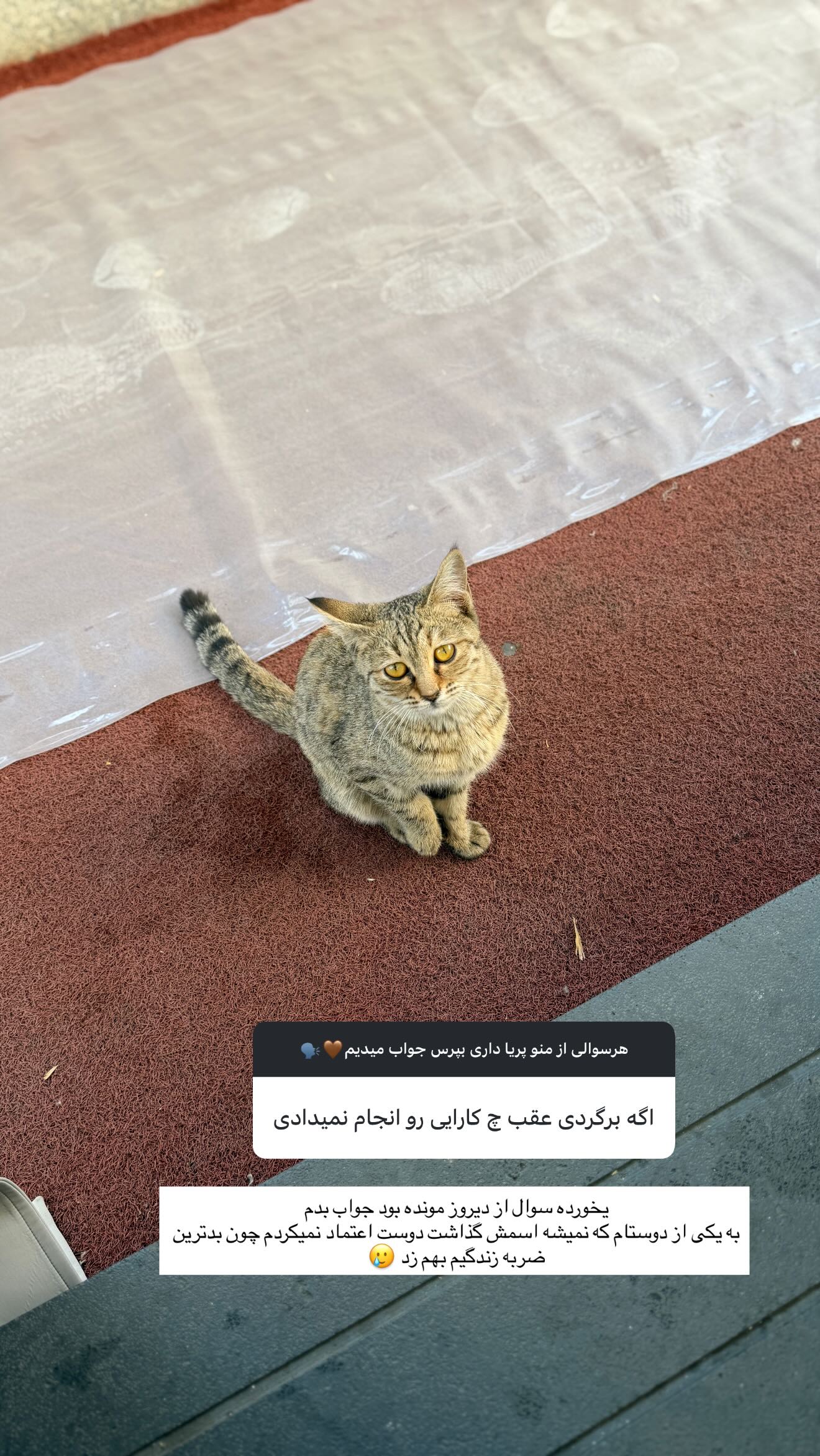  جدید ترین استوری اینستاگرام زهرا موسوی