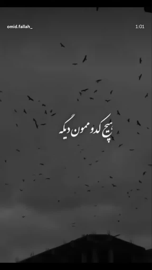  جدید ترین استوری اینستاگرام زهرا موسوی