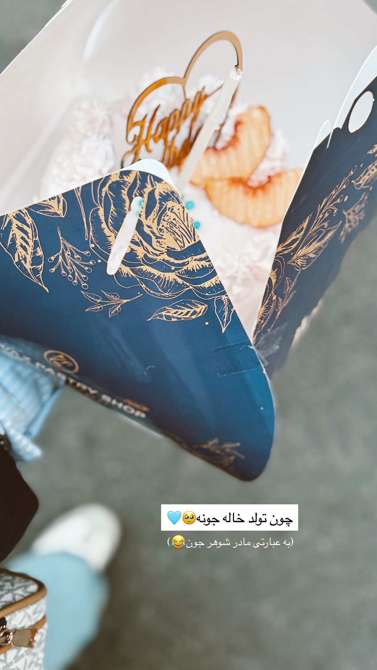  جدید ترین استوری اینستاگرام زهره سادات حسینی تبار