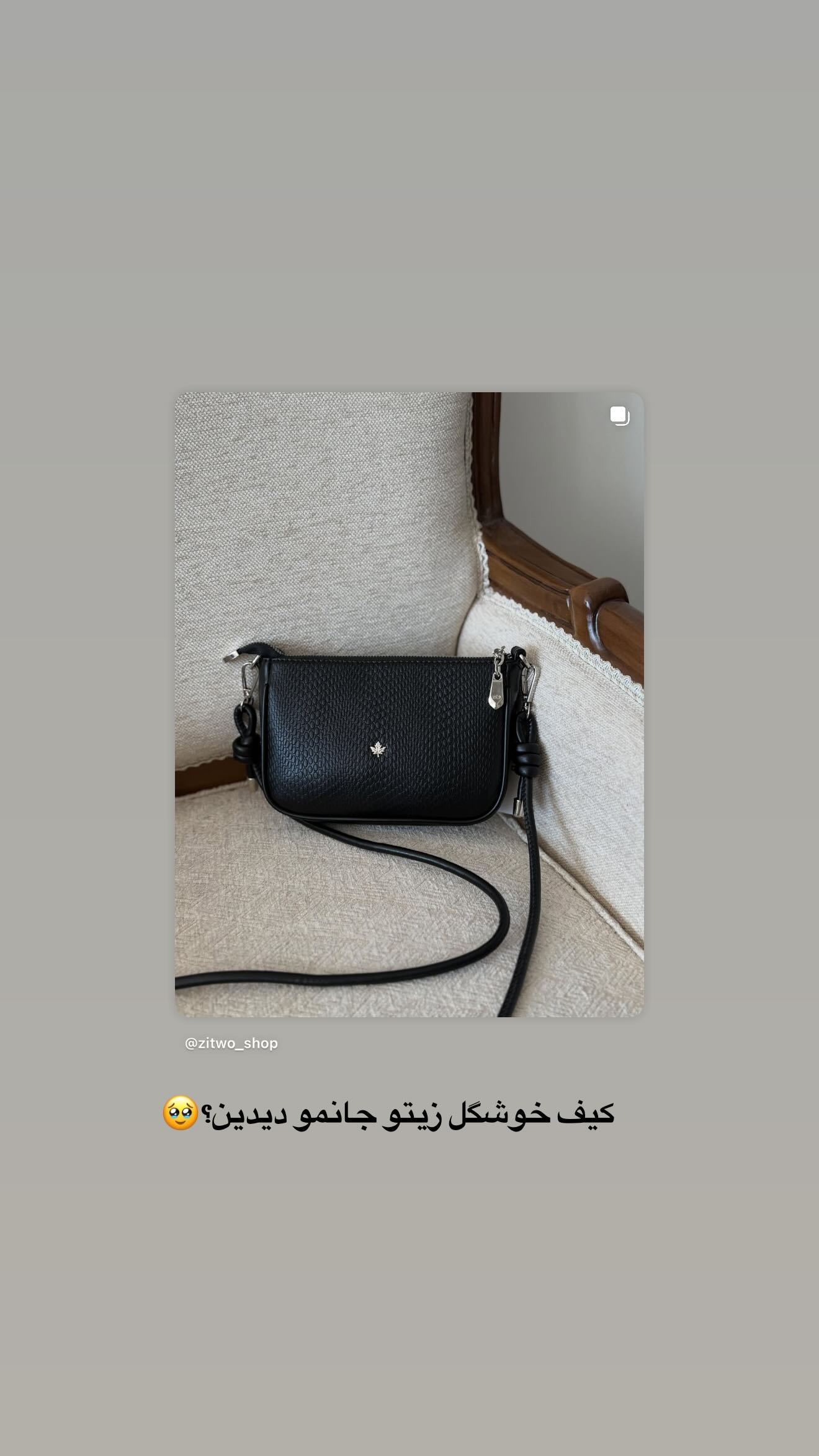  جدید ترین استوری اینستاگرام زهره سادات حسینی تبار