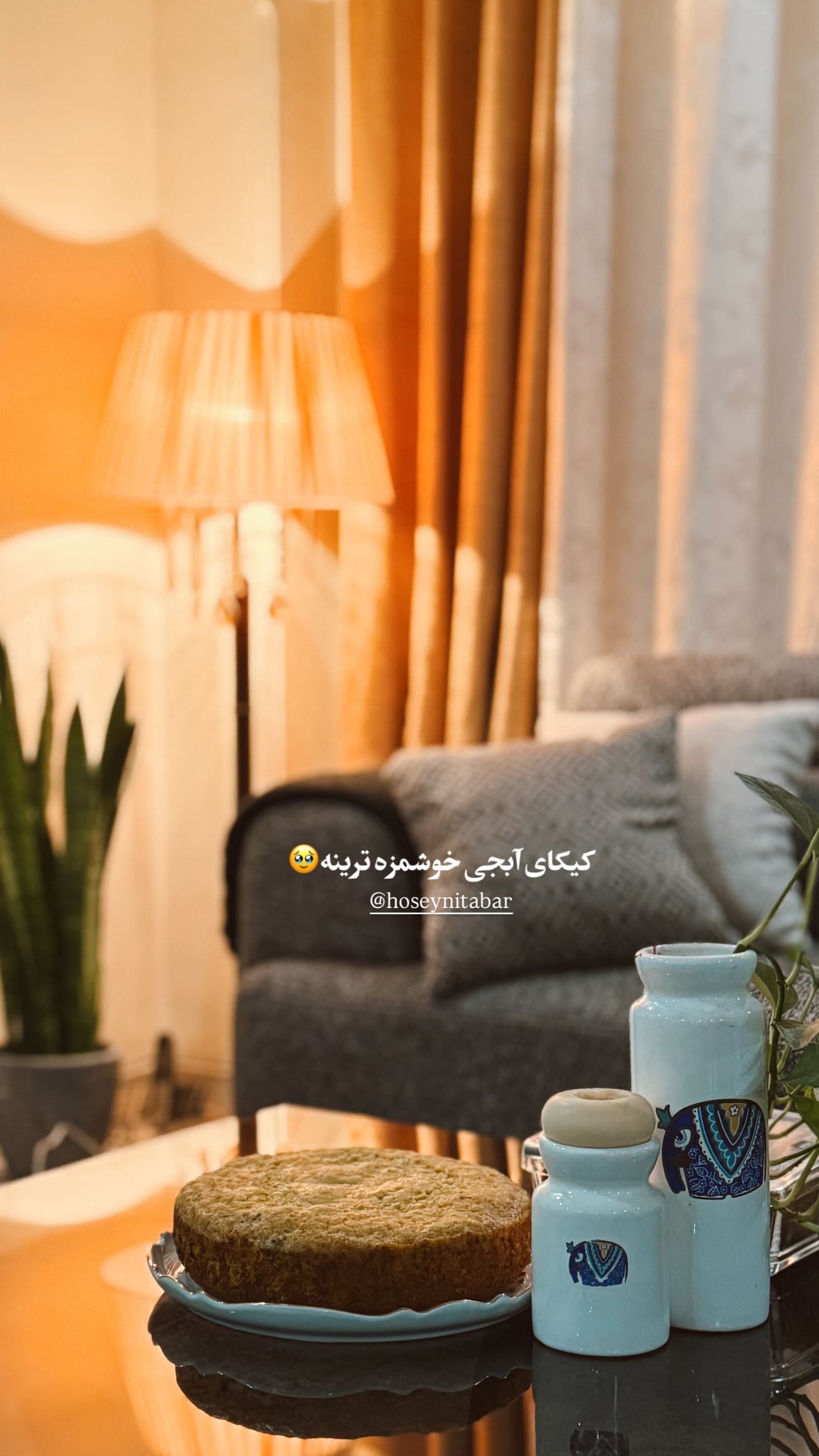  جدید ترین استوری اینستاگرام زهره سادات حسینی تبار