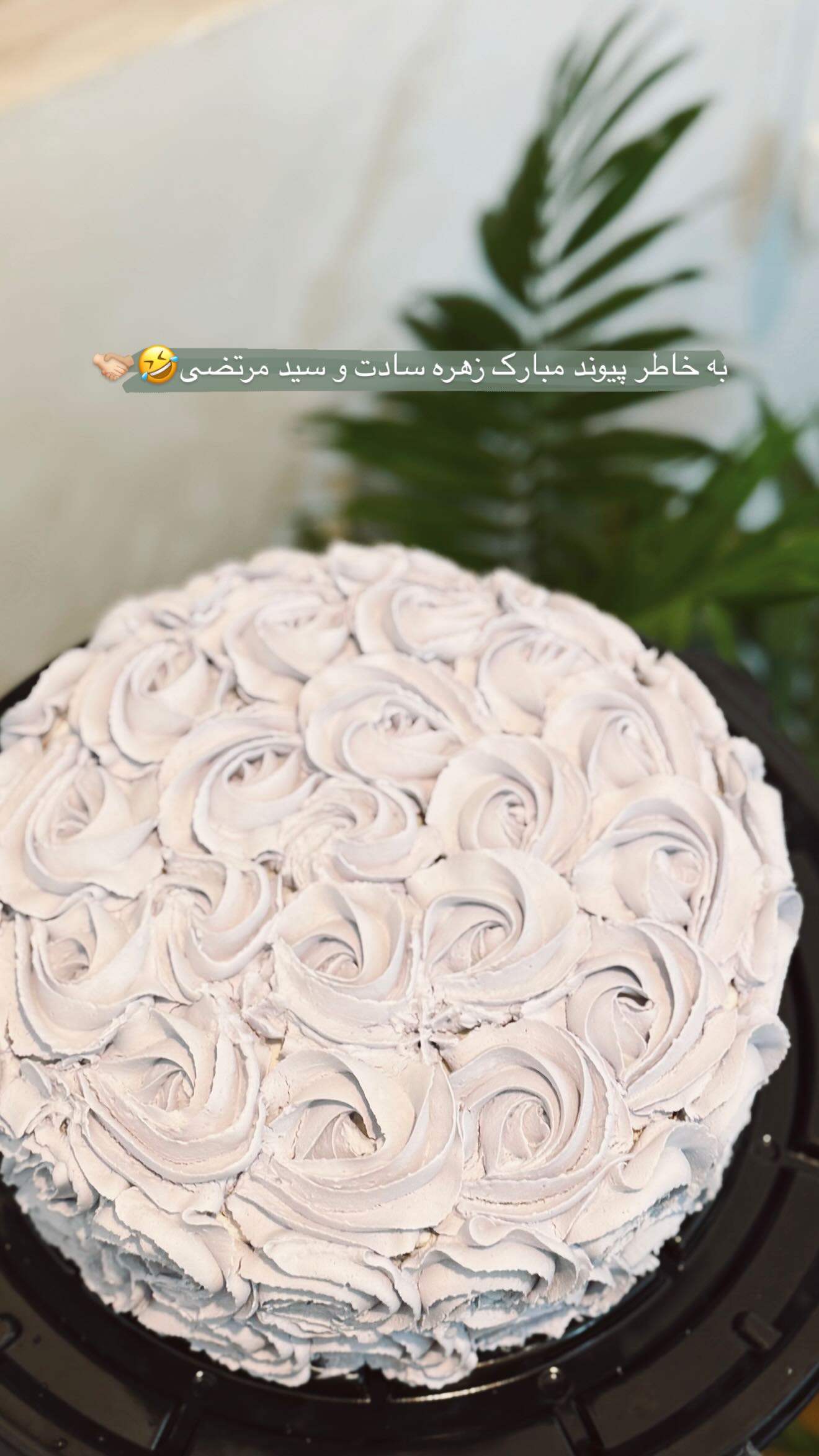  جدید ترین استوری اینستاگرام زهره سادات حسینی تبار