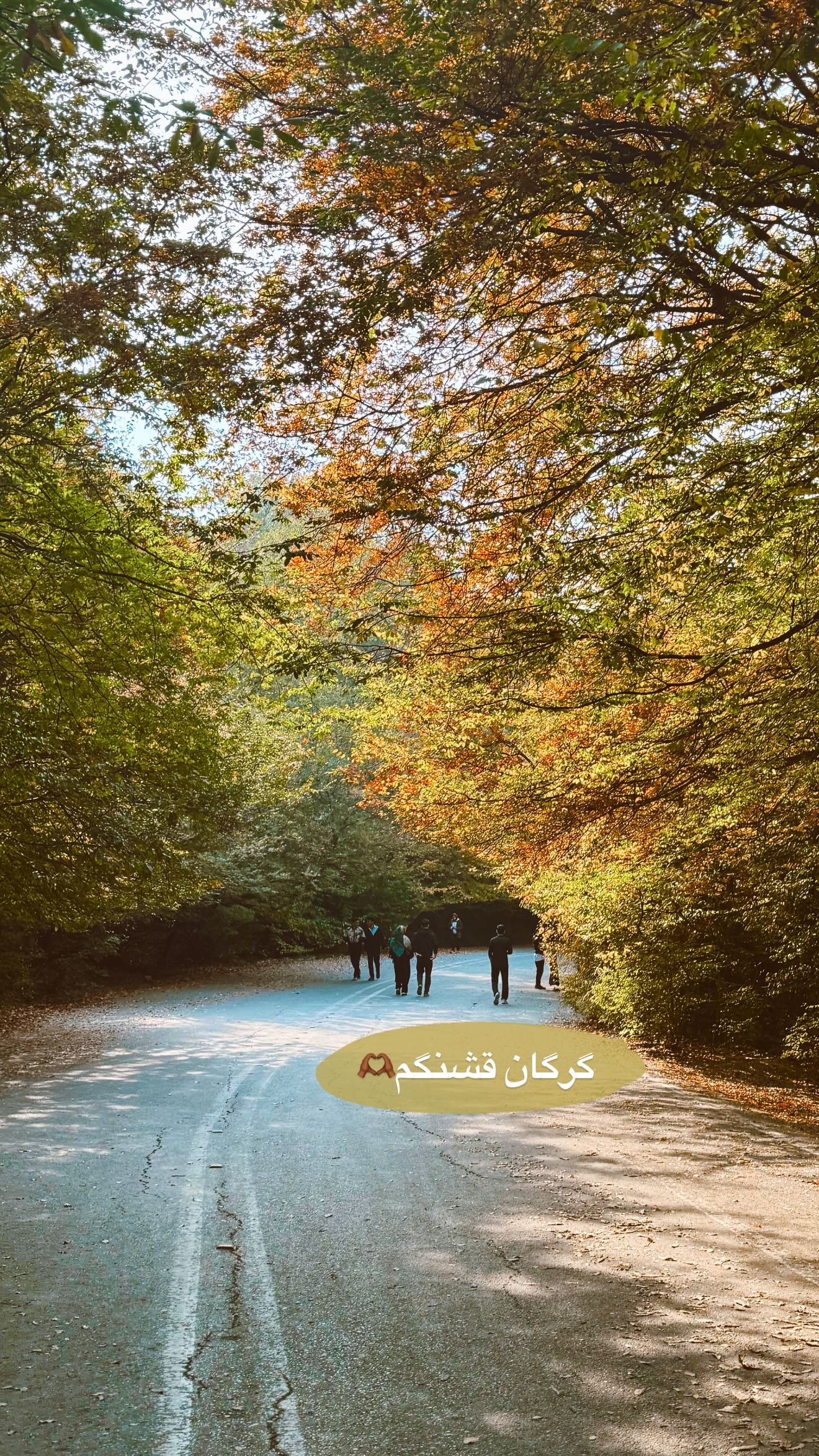  جدید ترین استوری اینستاگرام زهره سادات حسینی تبار
