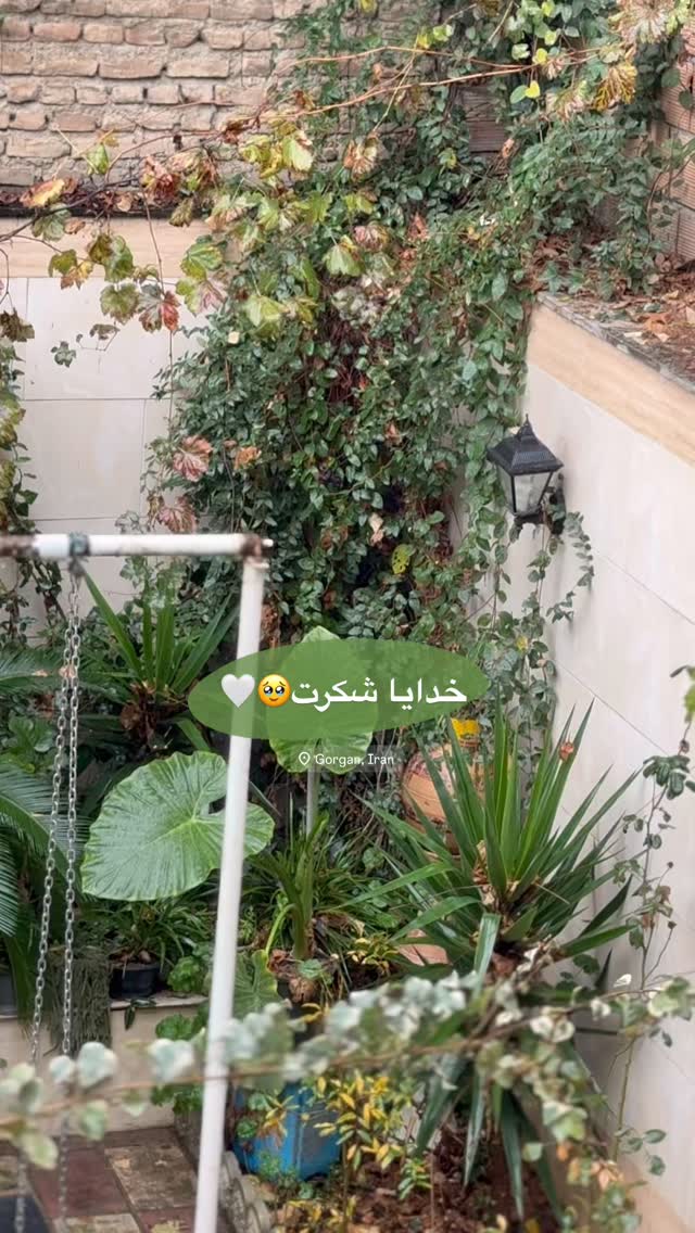  جدید ترین استوری اینستاگرام زهره سادات حسینی تبار