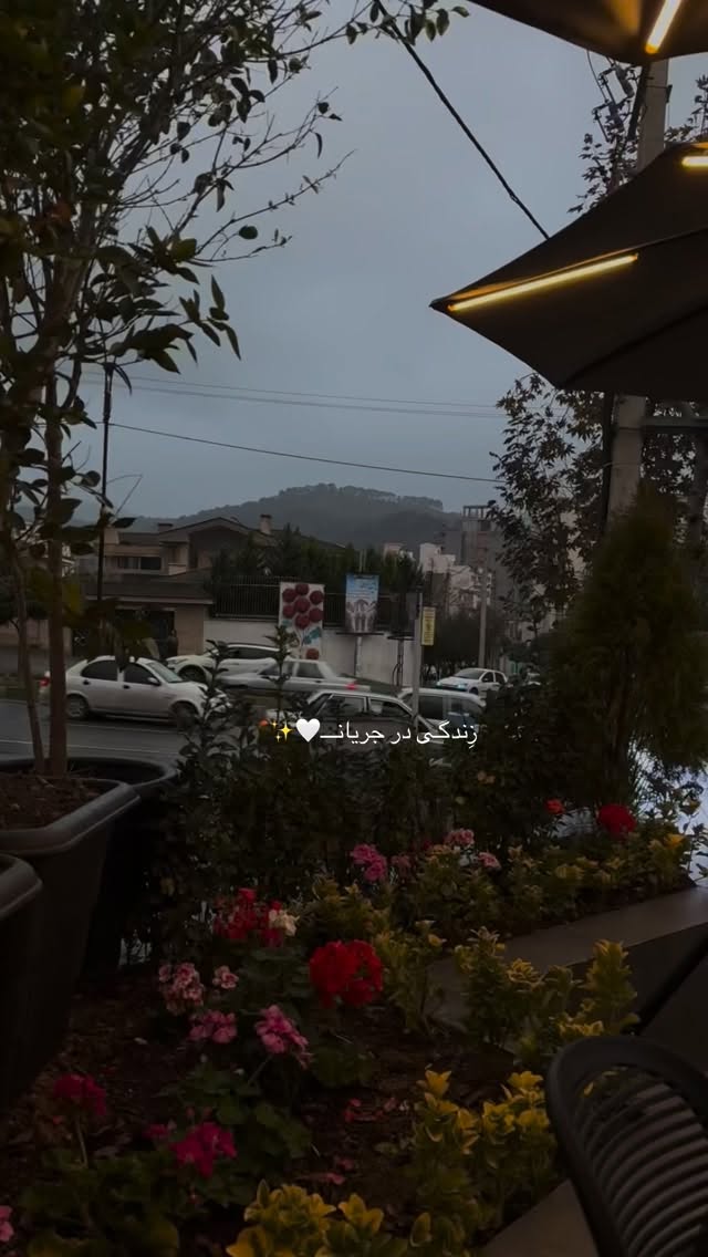  جدید ترین استوری اینستاگرام زهره سادات حسینی تبار