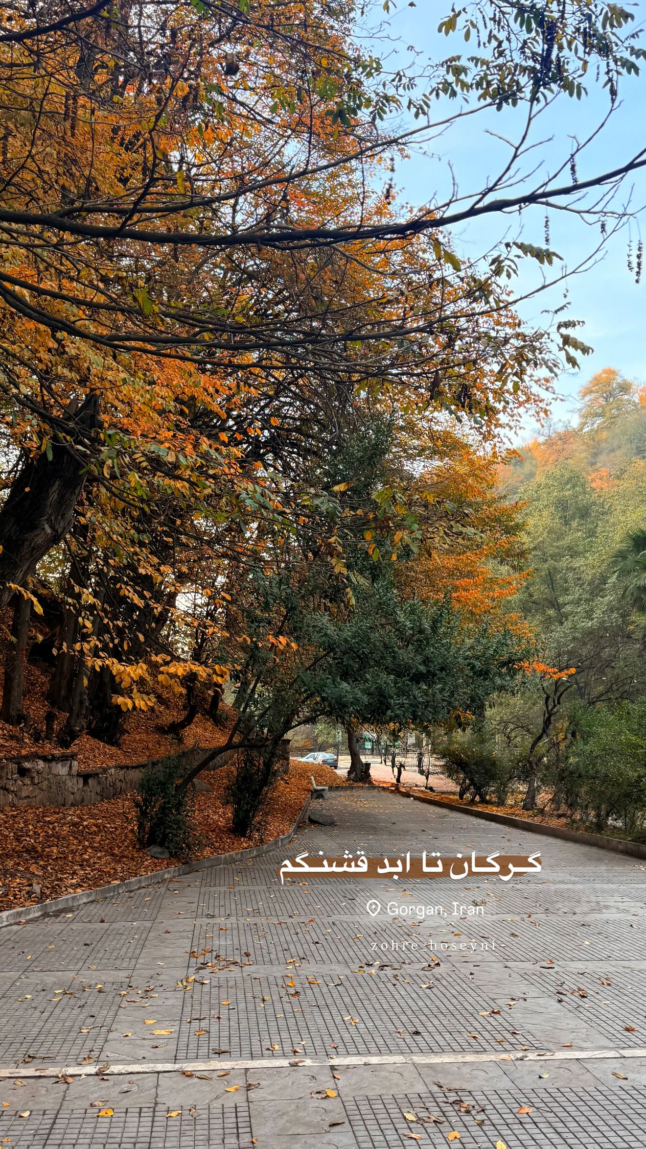  جدید ترین استوری اینستاگرام زهره سادات حسینی تبار