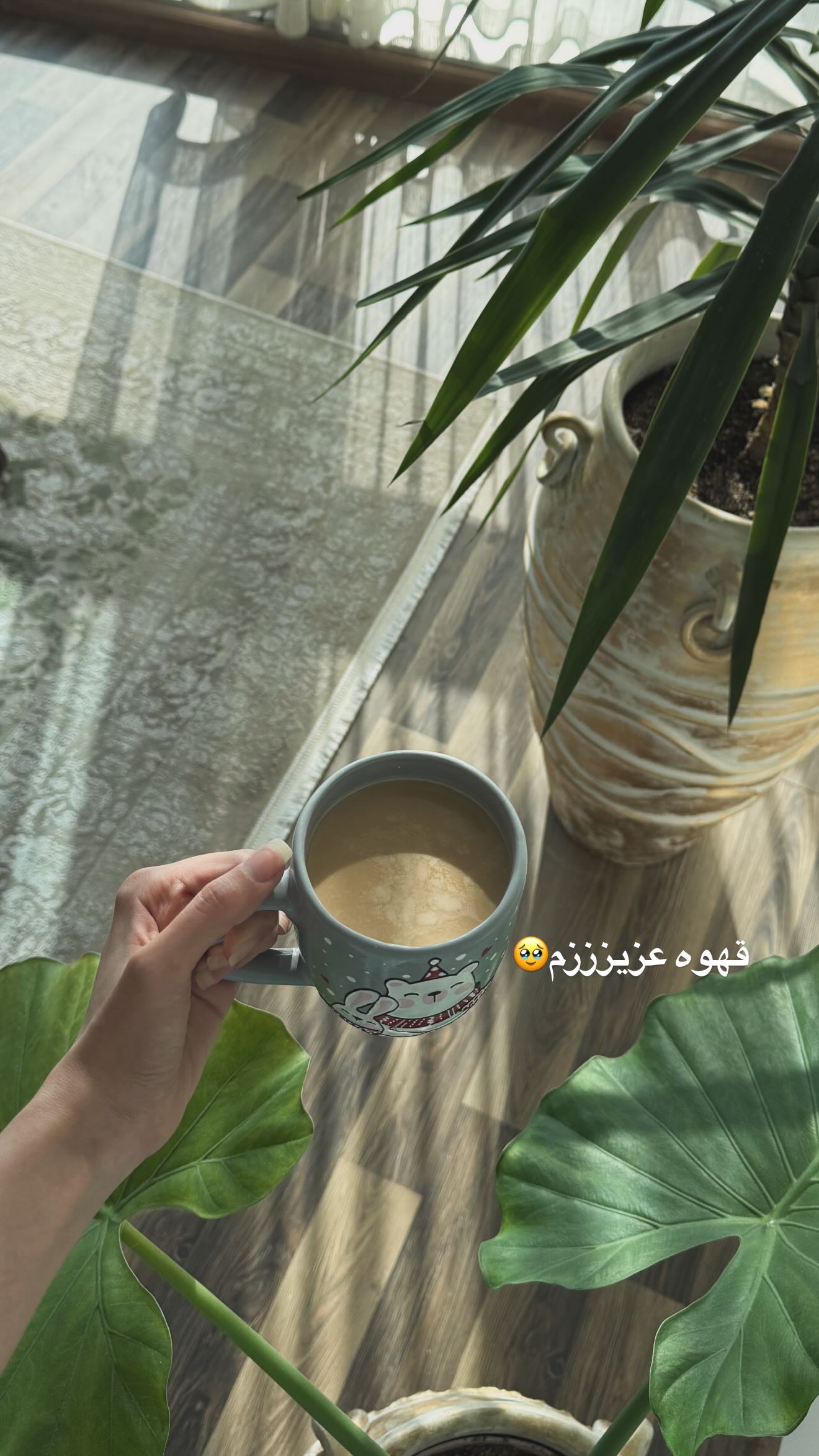  جدید ترین استوری اینستاگرام زهره سادات حسینی تبار