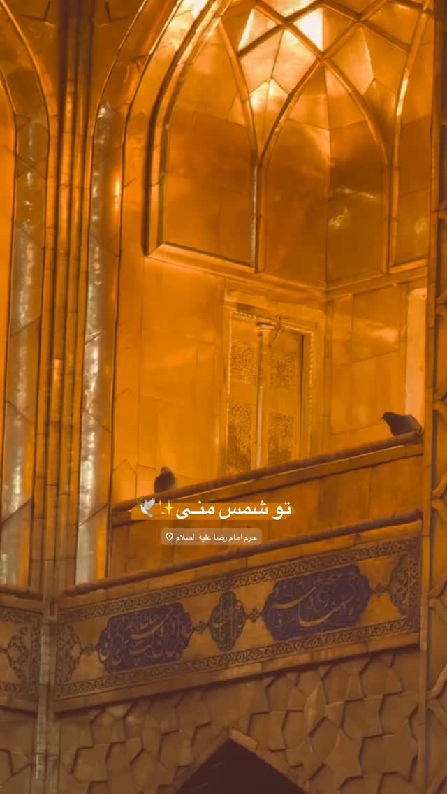  جدید ترین استوری اینستاگرام زهره سادات حسینی تبار