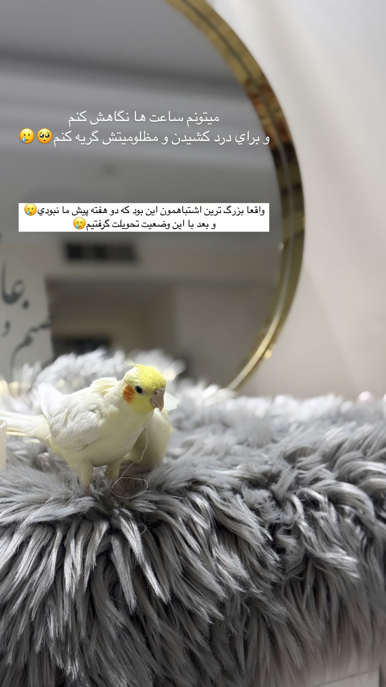  جدید ترین استوری اینستاگرام زهره و امین